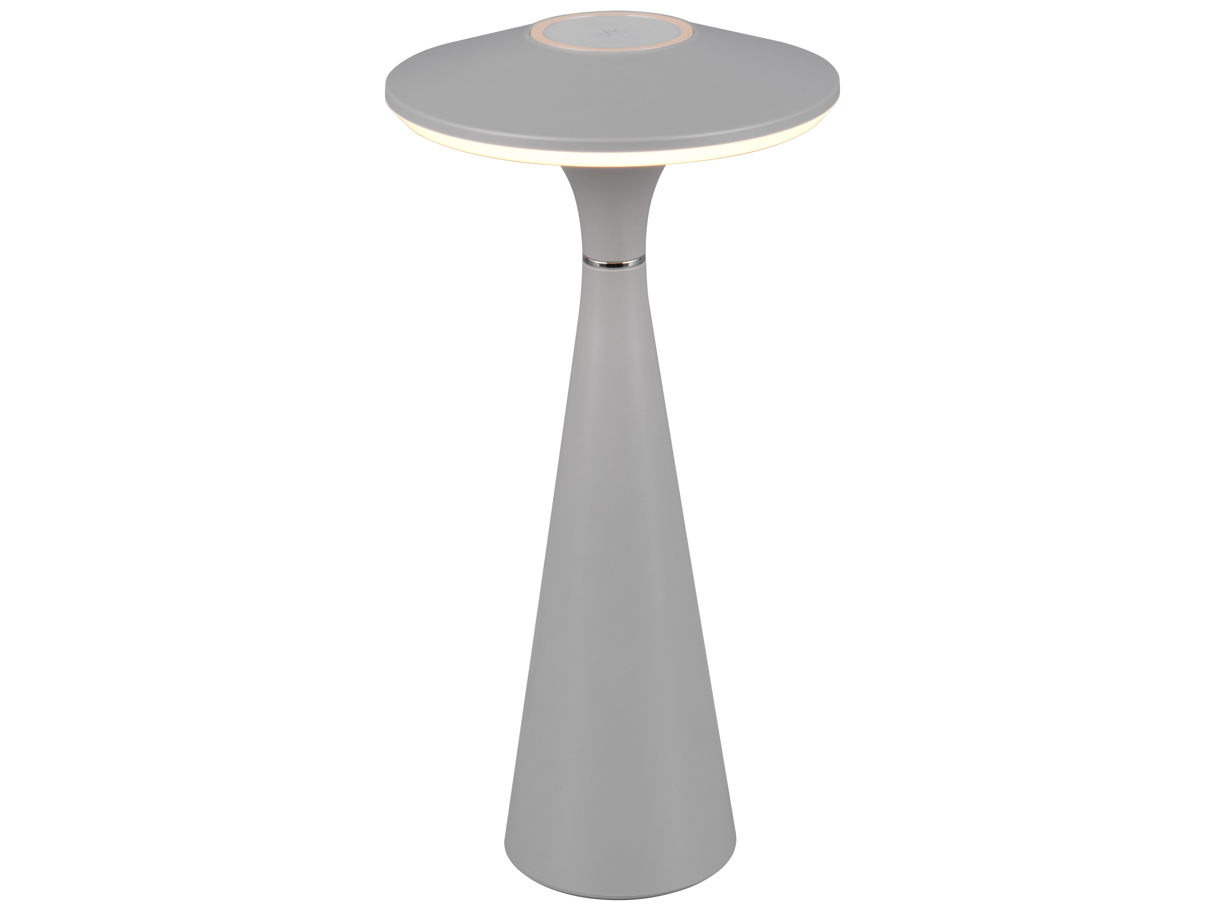 REALITY LED-Akku-Tischleuchte TORREZ, R57726177, grau, IP 44, 2 W, 180 lm REALITY LED-Akku-Tischleuchte TORREZ, R57726177, grau, IP 44, 2 W, 180 lm