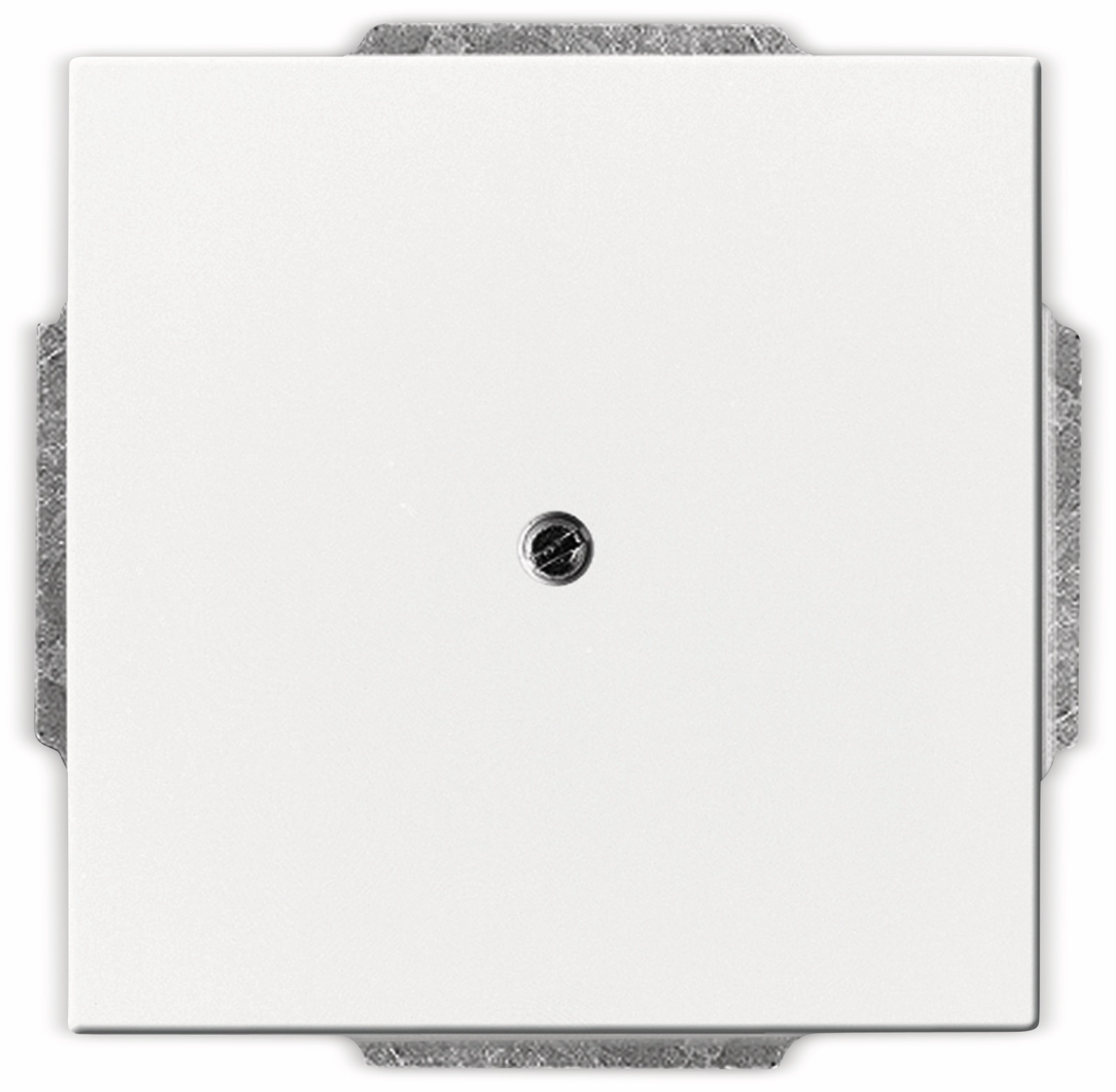 BUSCH-JAEGER Future Linear 1742-84, Blindabdeckung