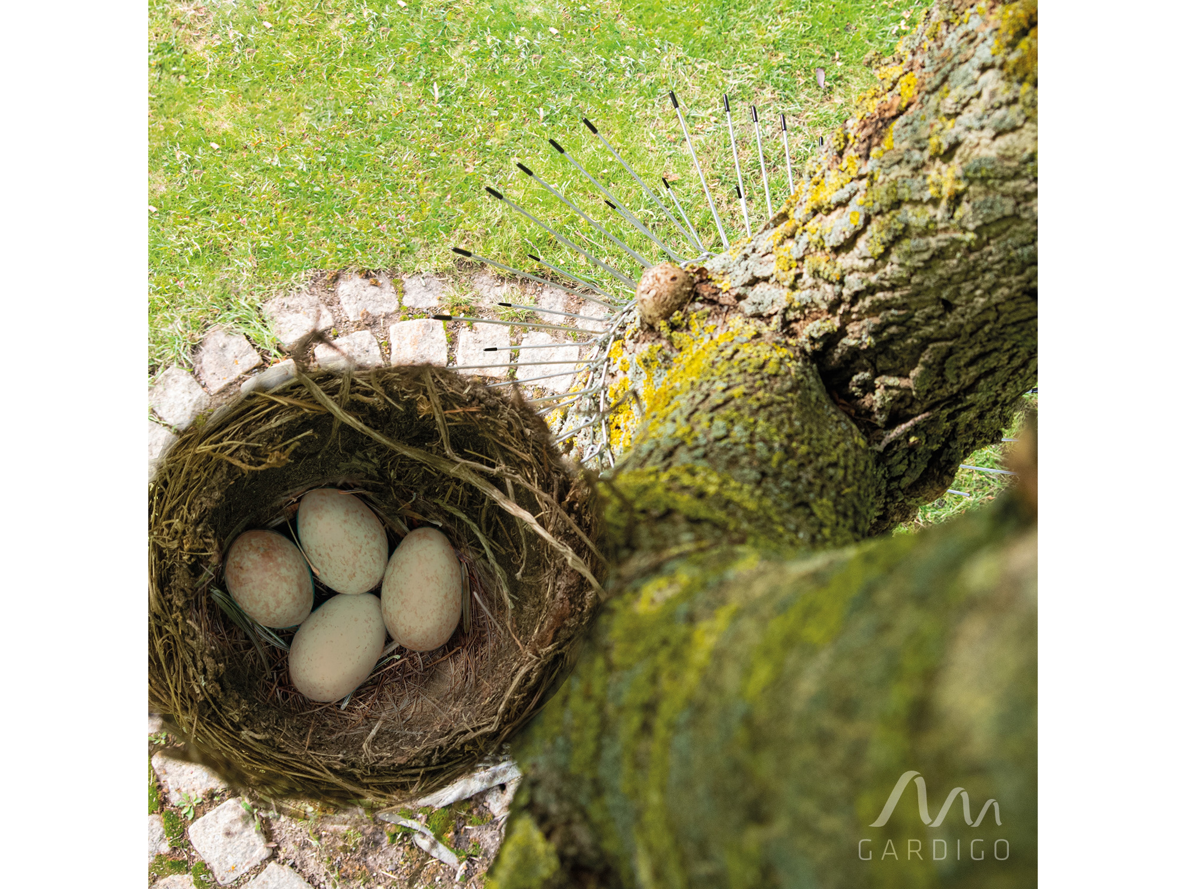 GARDIGO Katzenabwehrgürtel 60067