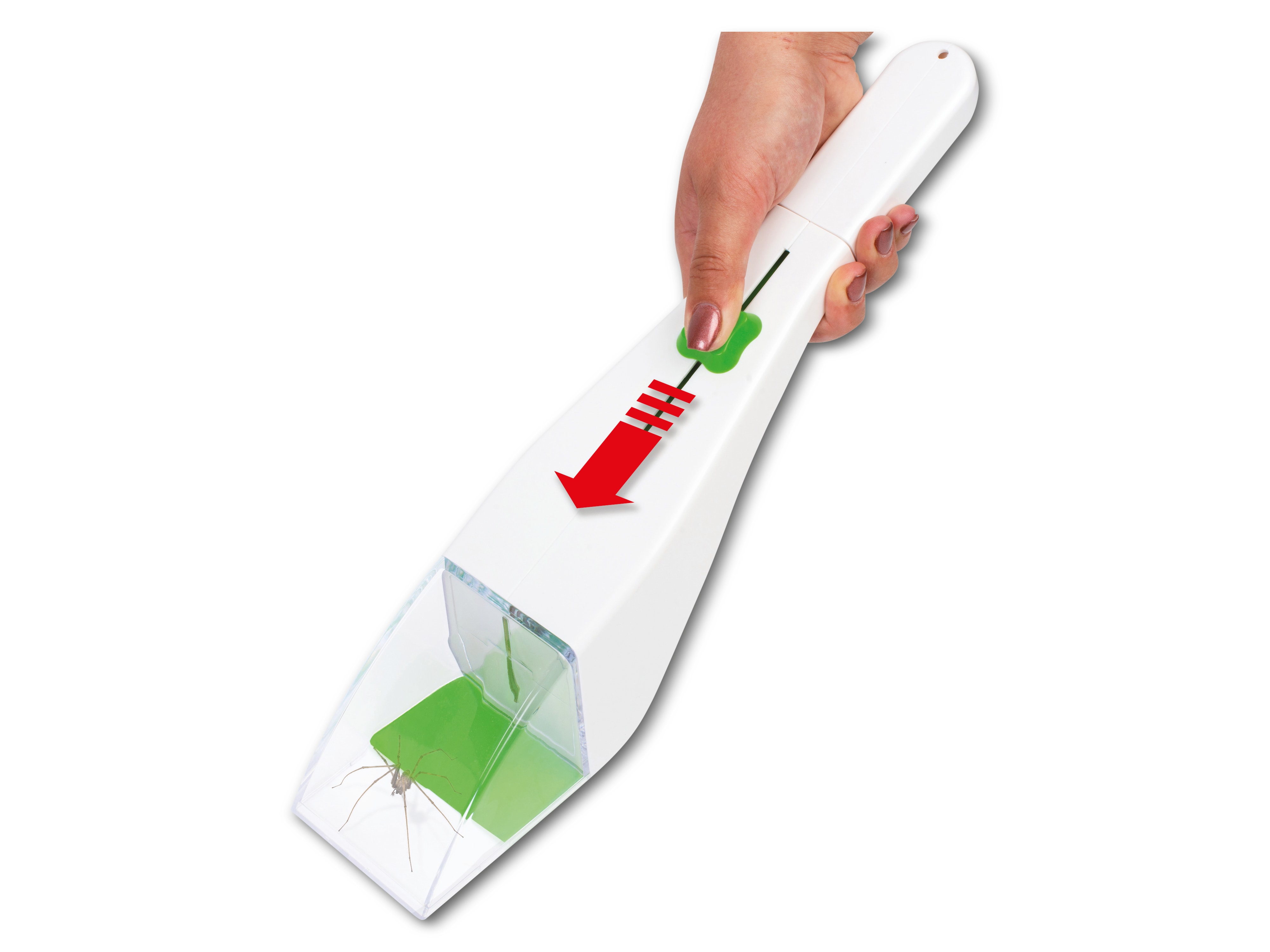 GARDIGO Insekten-Lebendfänger mit Lupe