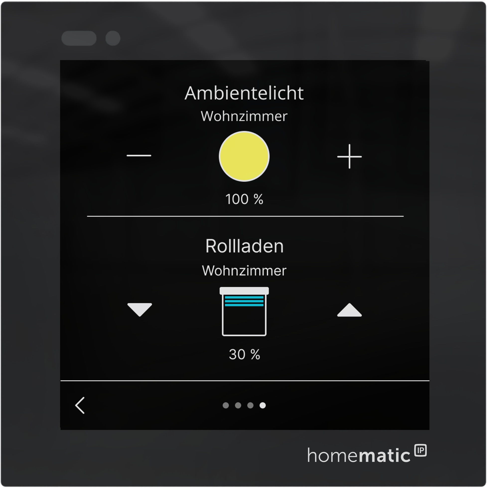 HOMEMATIC IP 161918A0, Glasdisplay