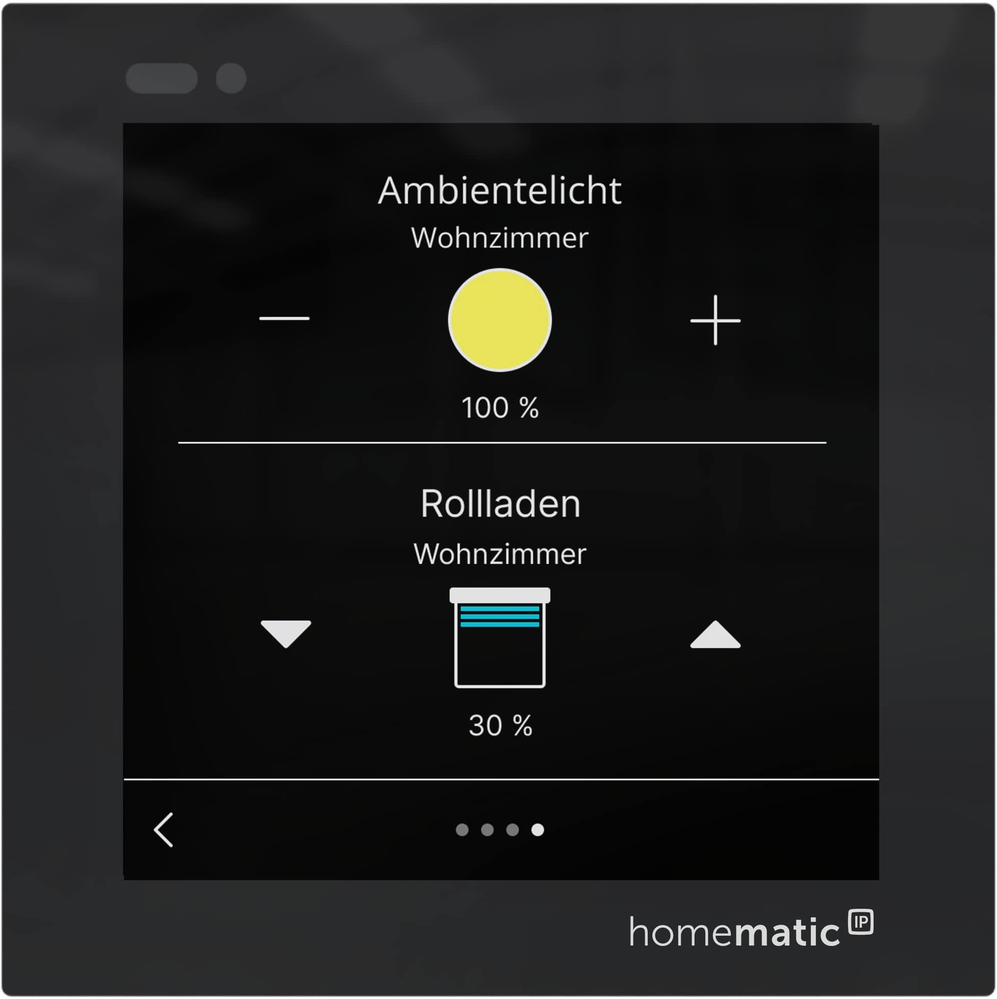 HOMEMATIC IP 161918A0, Glasdisplay HOMEMATIC IP 161918A0, Glasdisplay