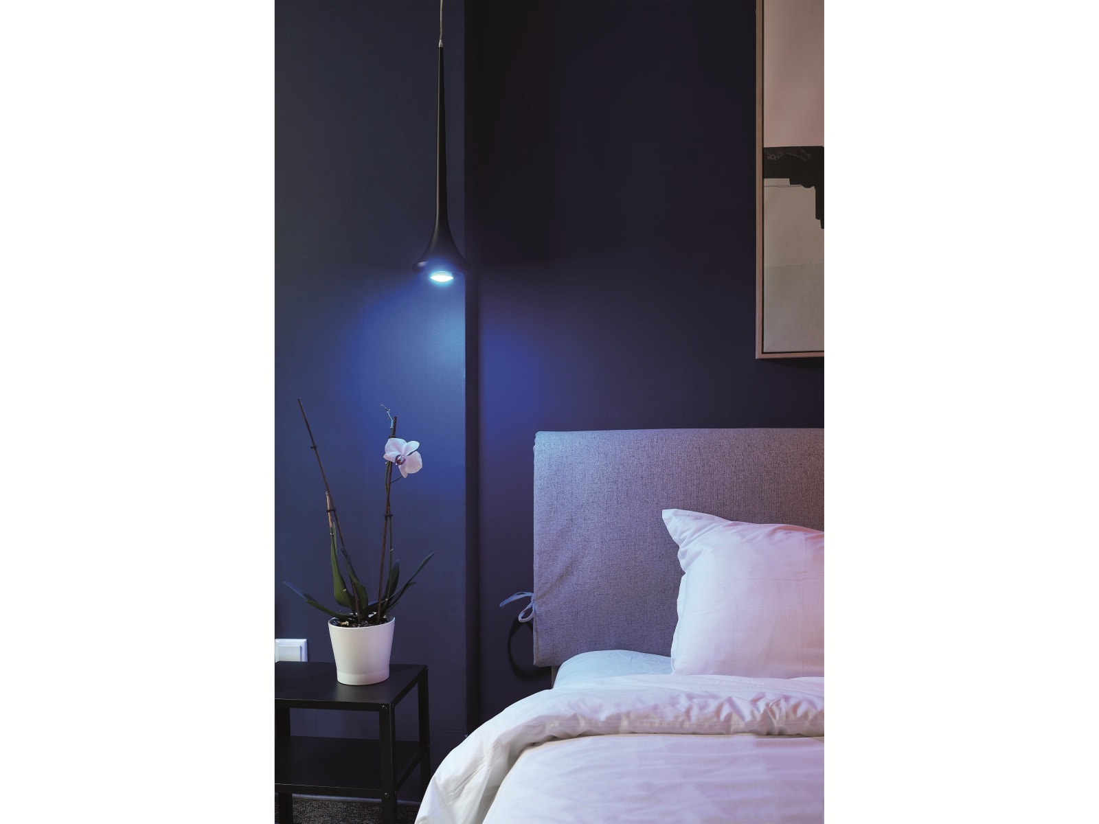 SHELLY LED-Lampe Duo RGBW, EEK: G, GU10, WLAN, 5 W, 400 lm SHELLY LED-Lampe Duo RGBW, EEK: G, GU10, WLAN, 5 W, 400 lm