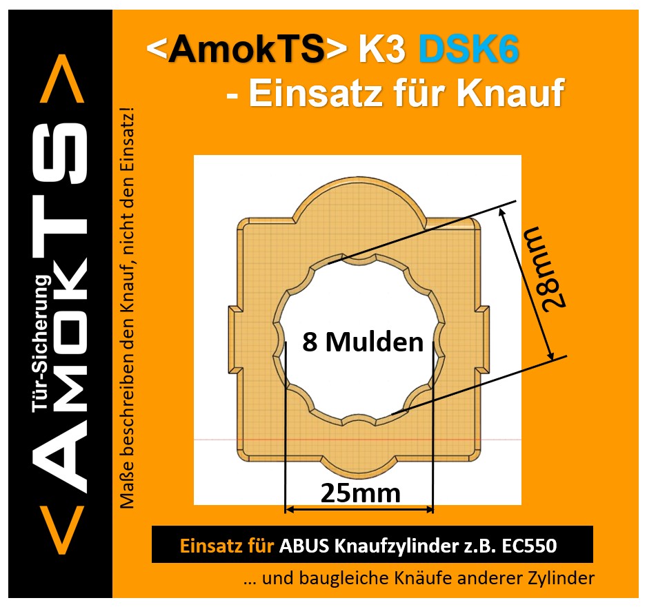 Türsicherungs-Einsatz, K3-DSK6