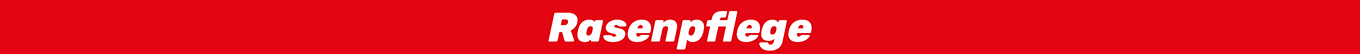 Rasenpflege