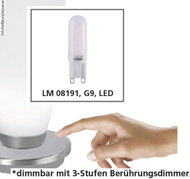 PAUL NEUHAUS LED-Tischleuchte 4013-11 altmessing, G9, 2,6 W, 265 lm, 3000 K