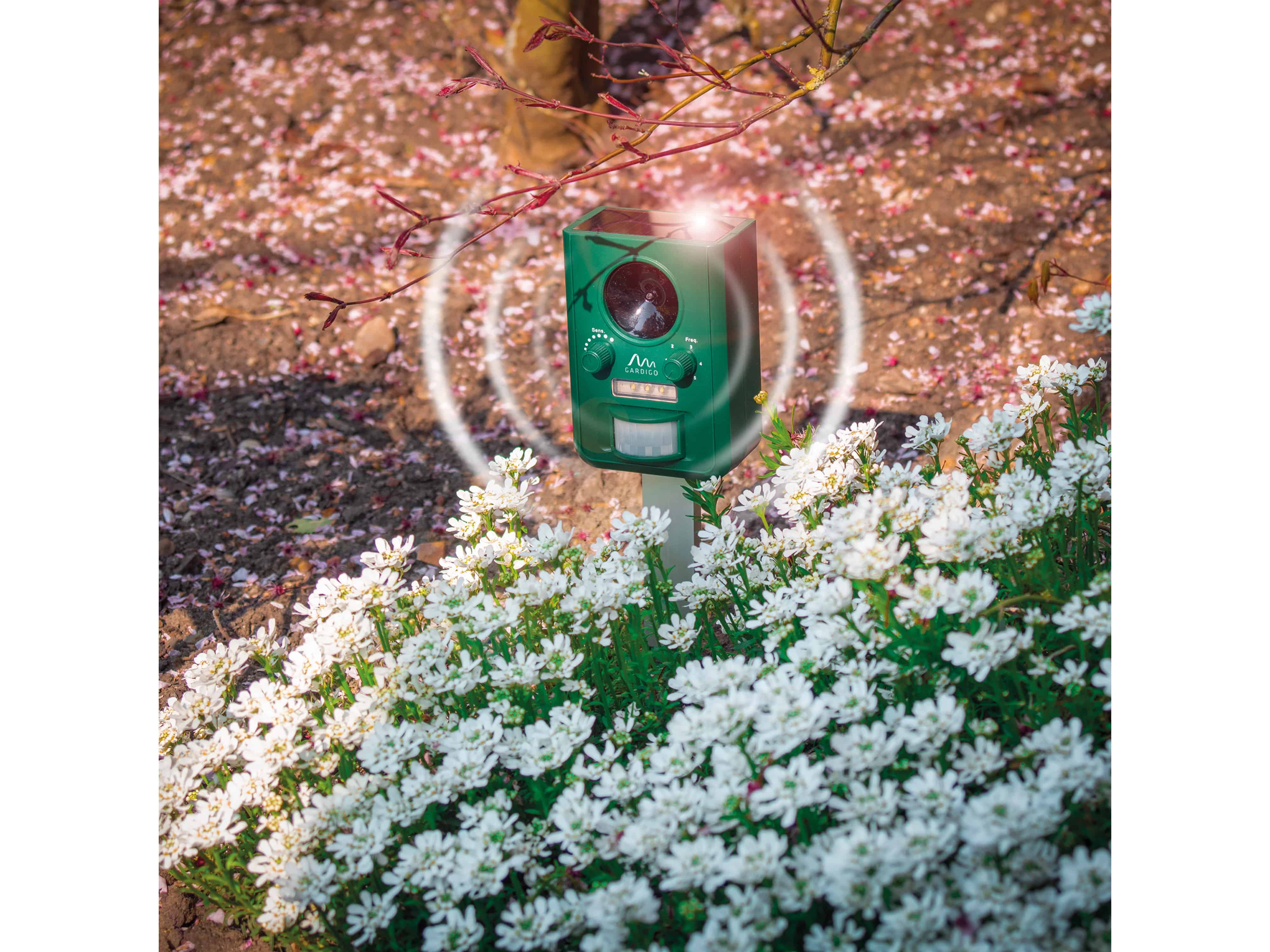 GARDIGO Solar-Tiervertreiber 60066