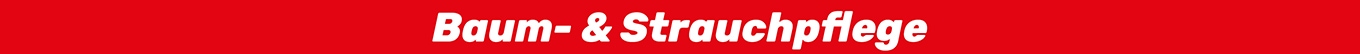 Baum- & Strauchpflege Baum- & Strauchpflege