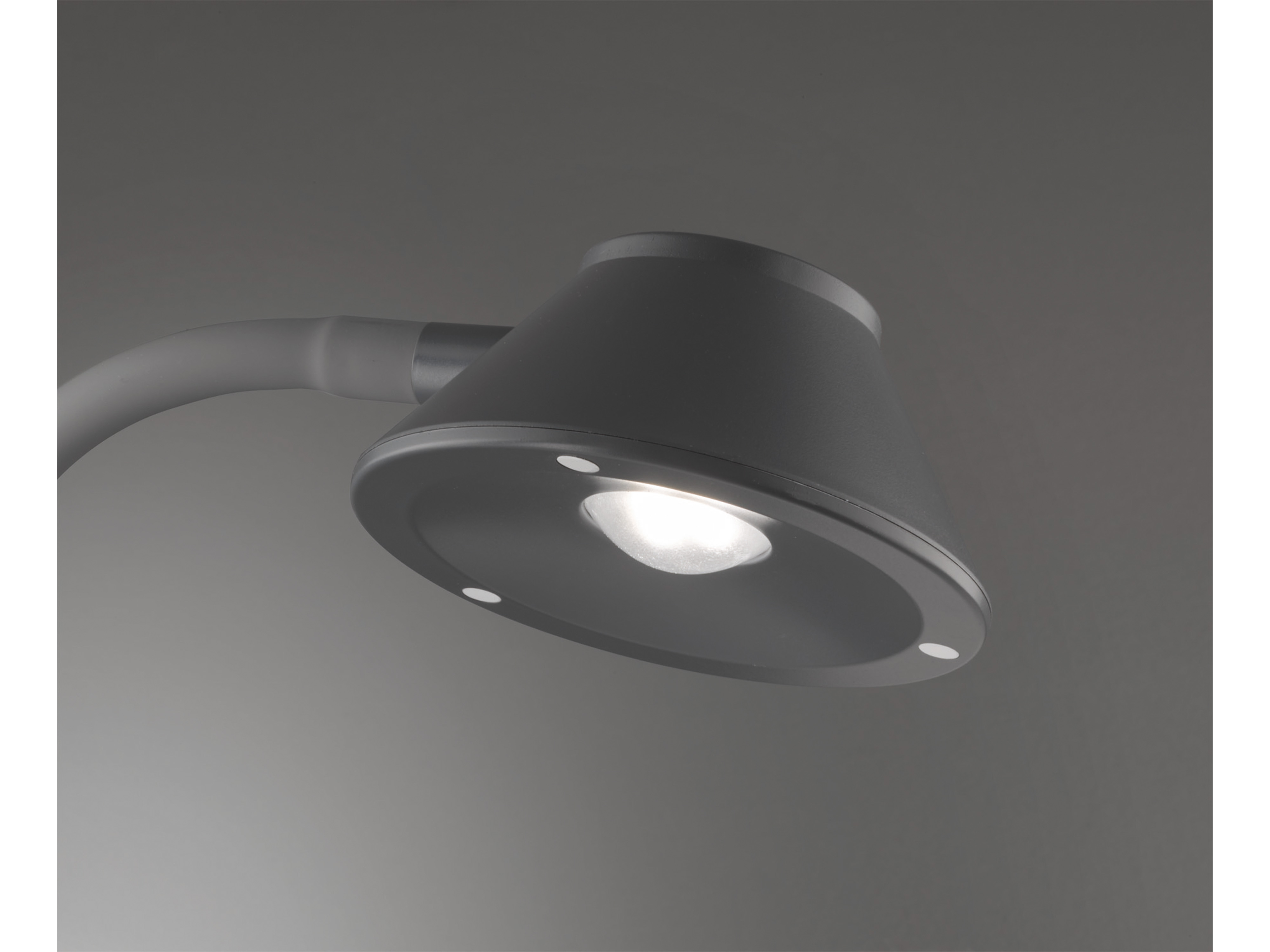 REALITY LED-Tischleuchte Berry R52191187 titanfarbig, 3,2 W, 350 lm, 3000 K