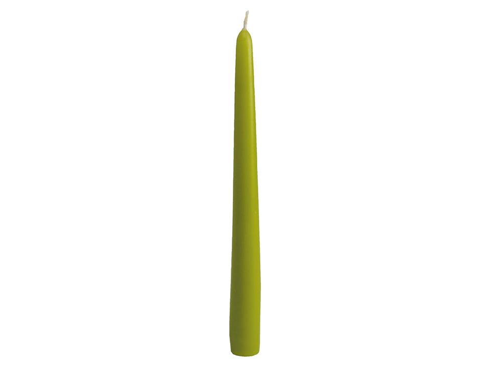 WIEDEMANN Tafelkerzen, lindgrün, 12 Stück, 250x25 mm