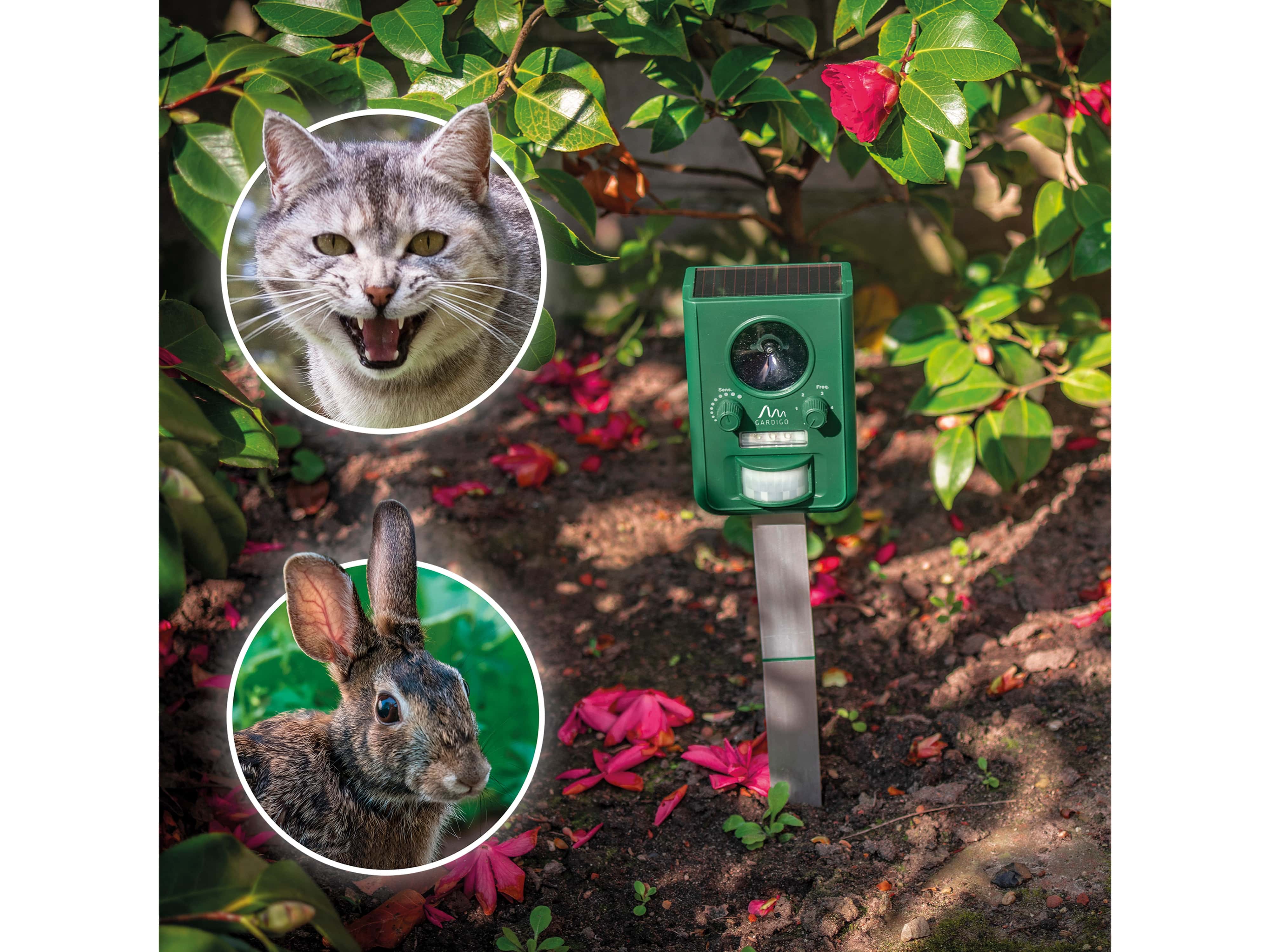 GARDIGO Solar-Tiervertreiber 60066