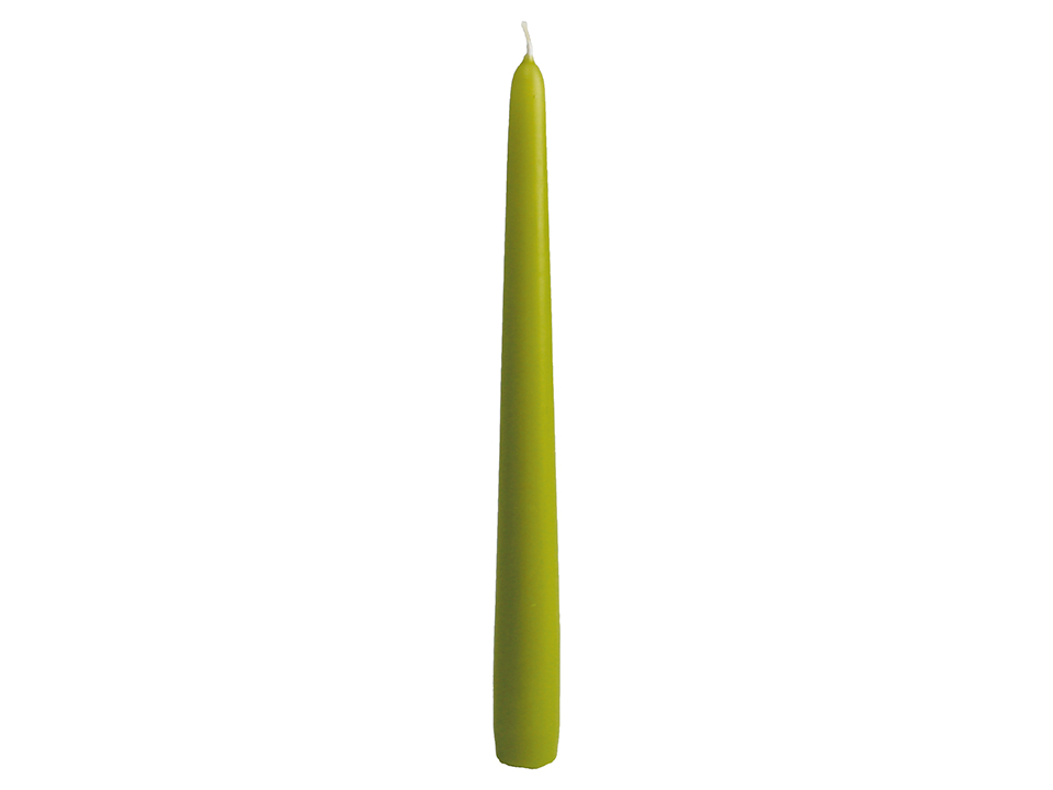 WIEDEMANN Tafelkerzen, lindgrün, 250/25mm, 50 Stück