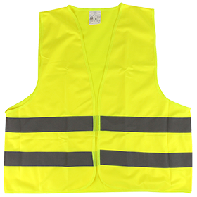 Schutz-Sicherheit-Icon
