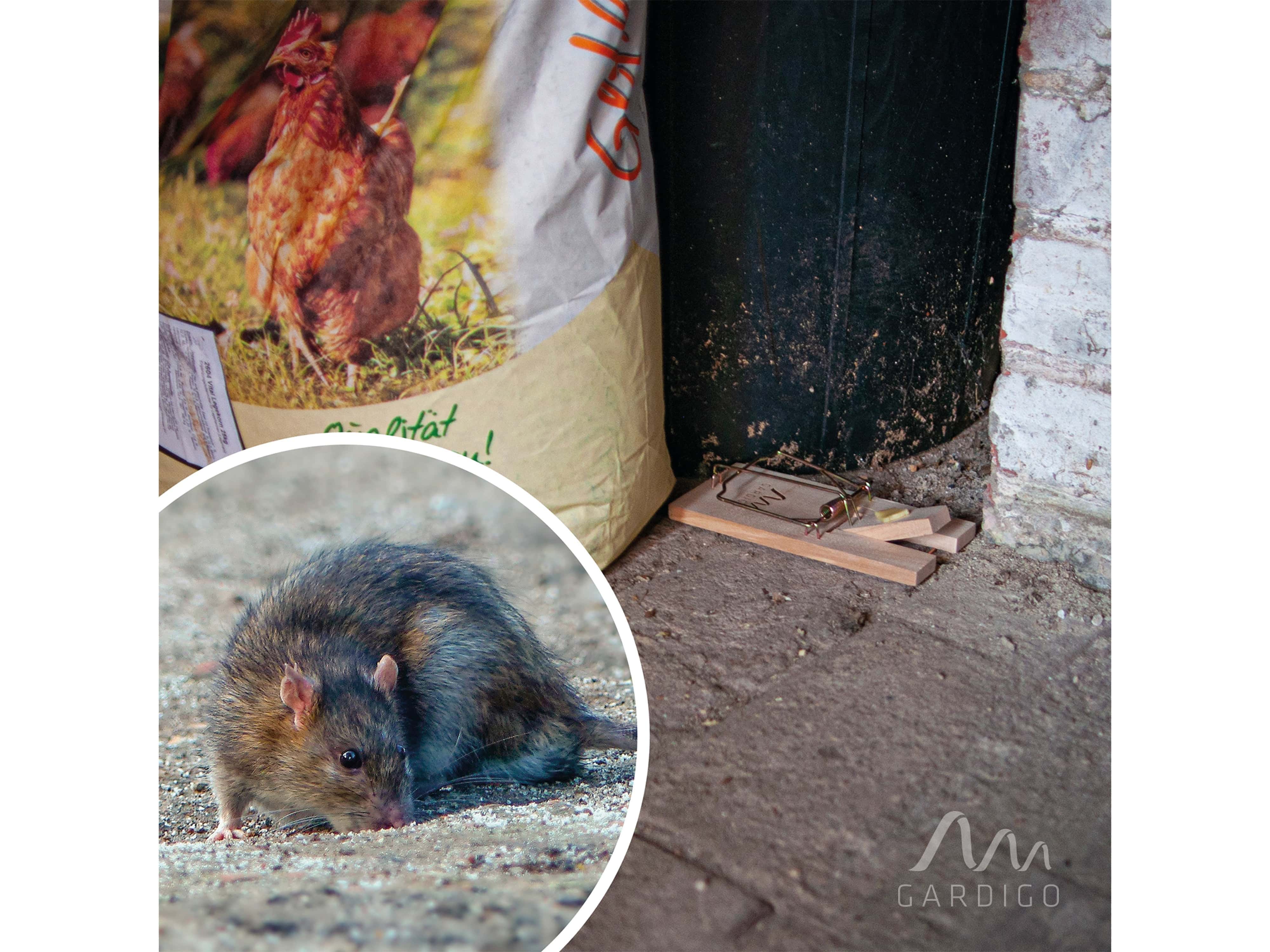 GARDIGO Holz-Rattenfalle