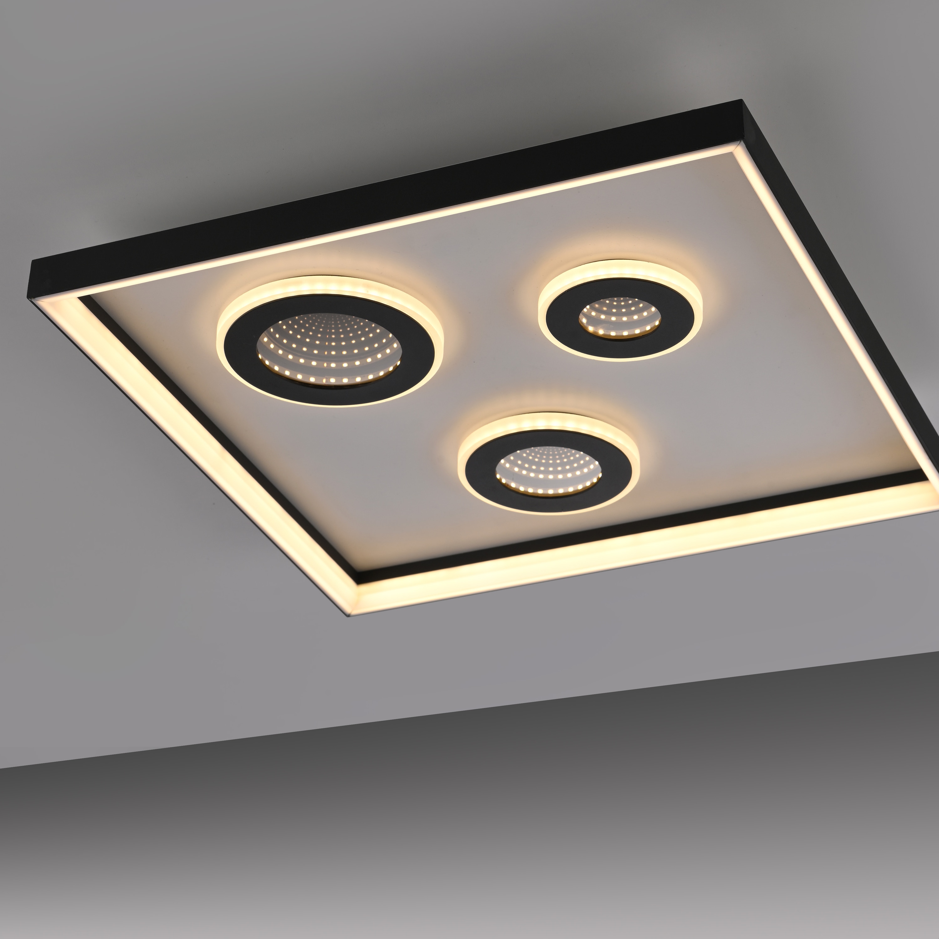 PAUL NEUHAUS LED-Deckenleuchte 6856-18 schwarz, 32 W, 4000 lm, CCT, Fernbedienung