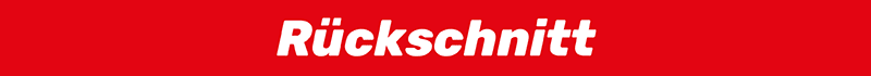 Rückschnitt Rückschnitt