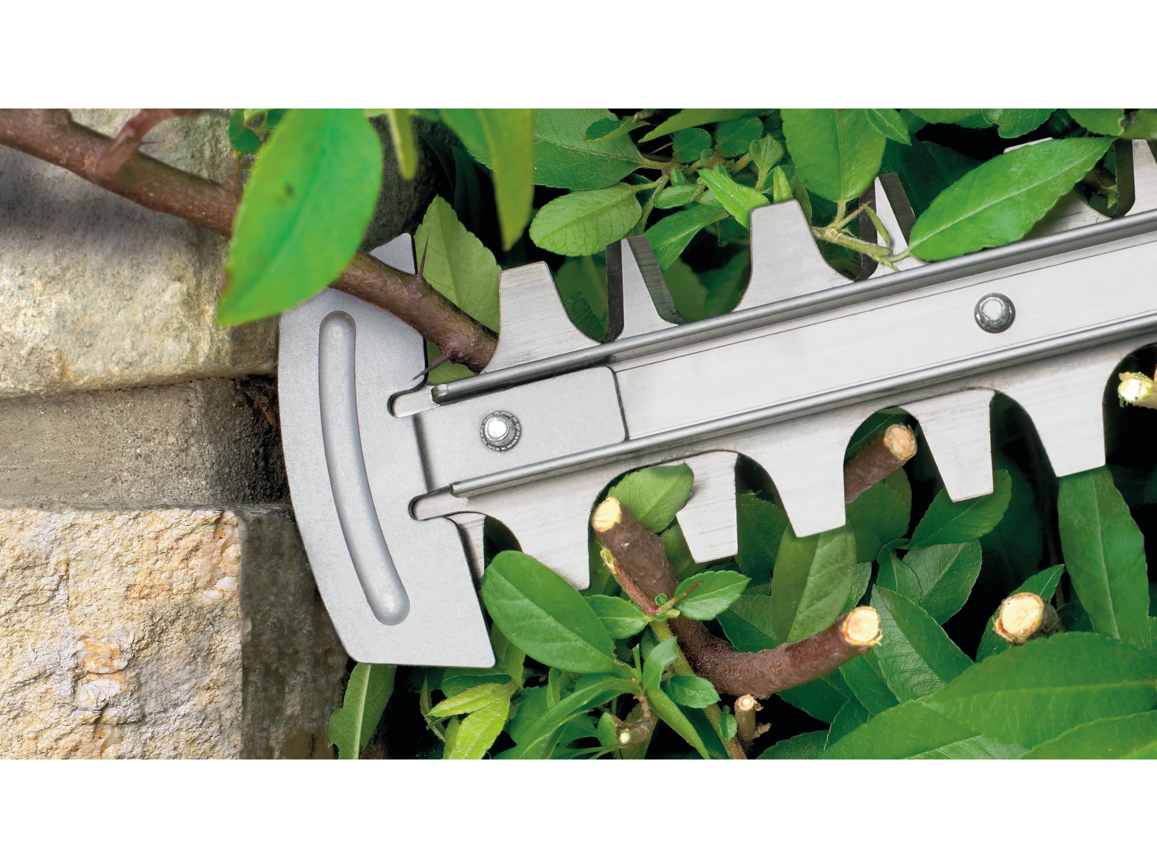 BOSCH Elektro-Heckenschere AdvancedHedgeCut 65, 500 W