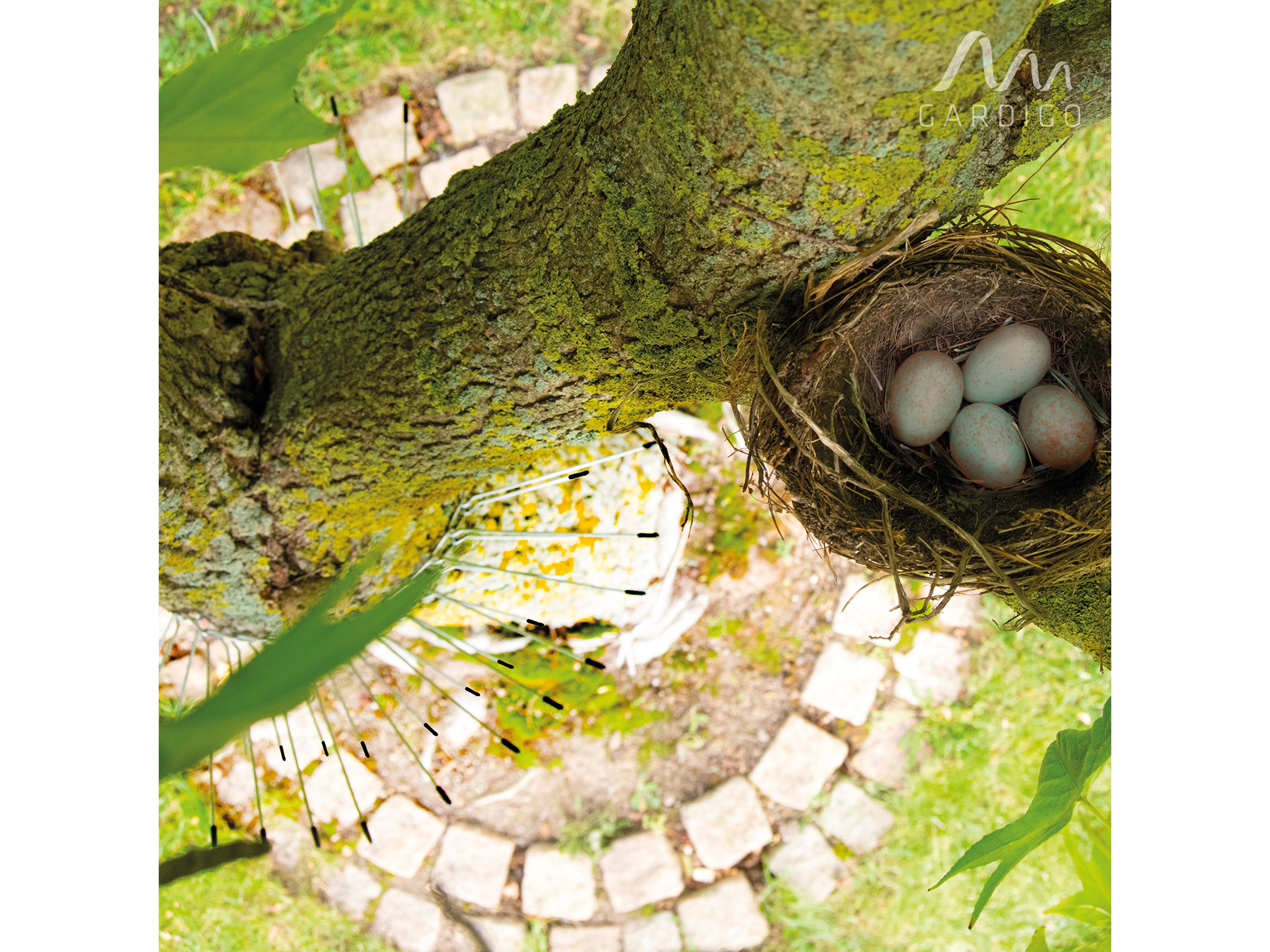 GARDIGO Katzenabwehrgürtel 60067