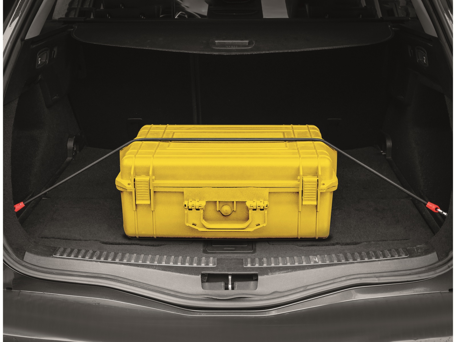 LAS Gepäckarm mit Karabinerhaken 10350