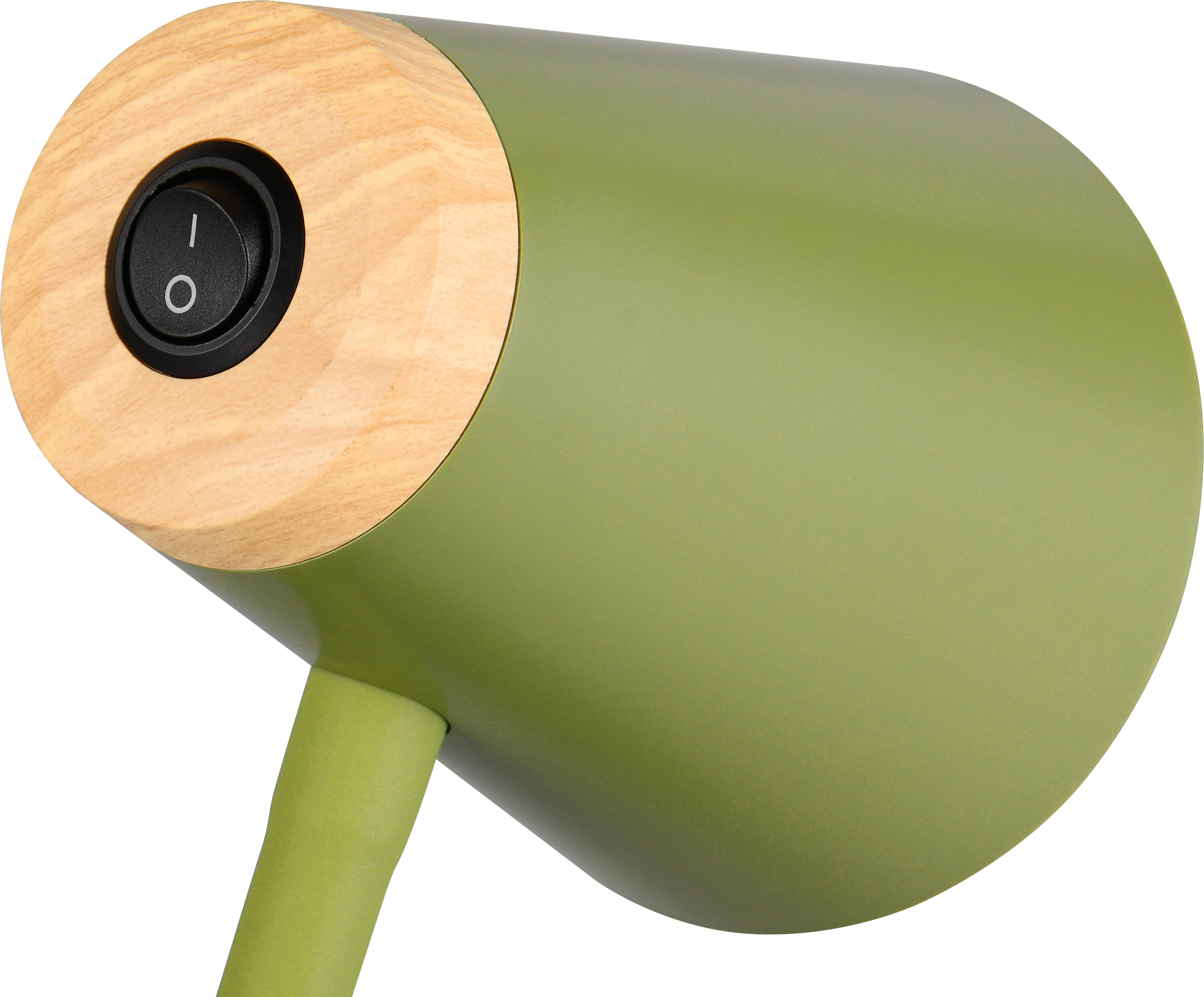 REALITY LED-Stehleuchte PONGO, R45831115, 4,5W, 500lm, 3000K, grün