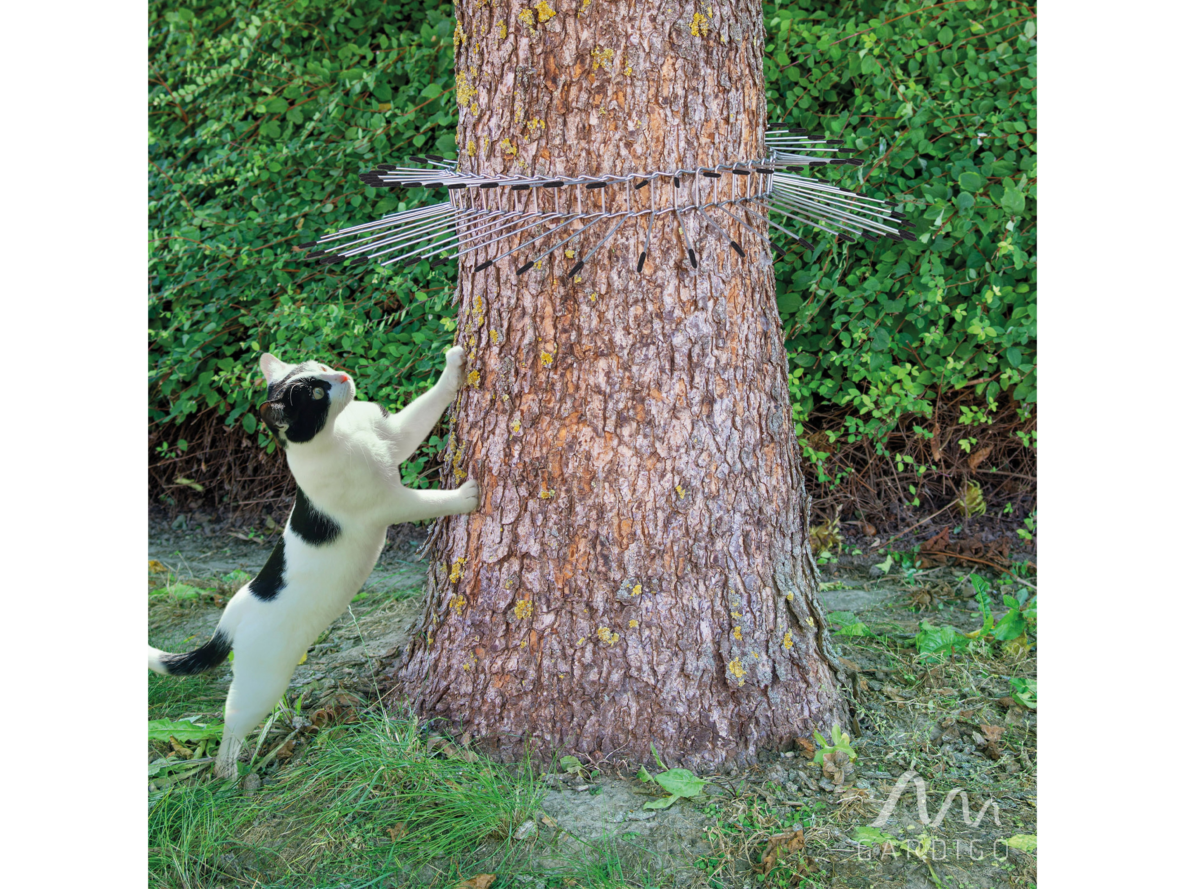 GARDIGO Katzenabwehrgürtel 60067