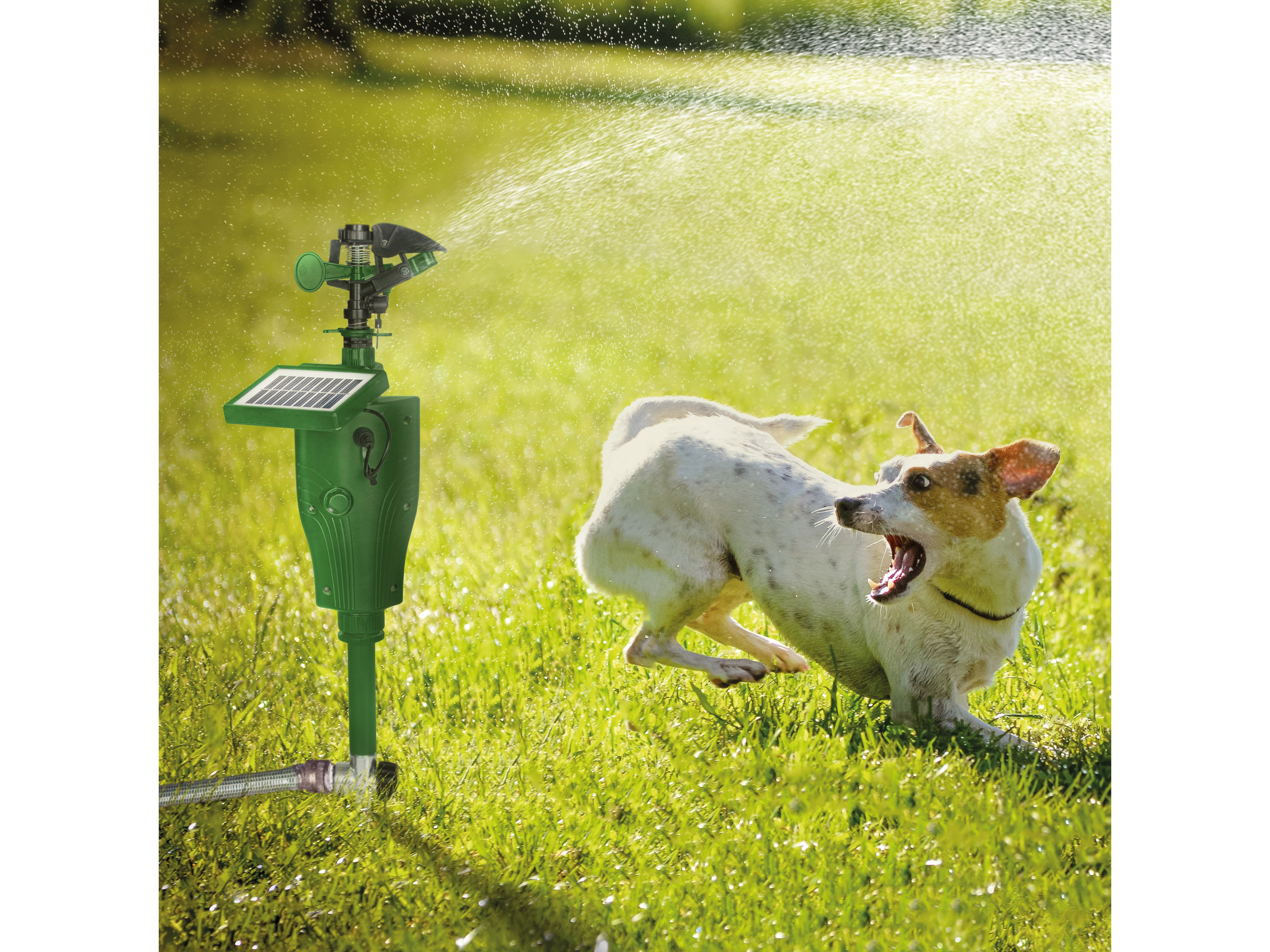 GARDIGO Solar Wasser-Tierabwehr 60085