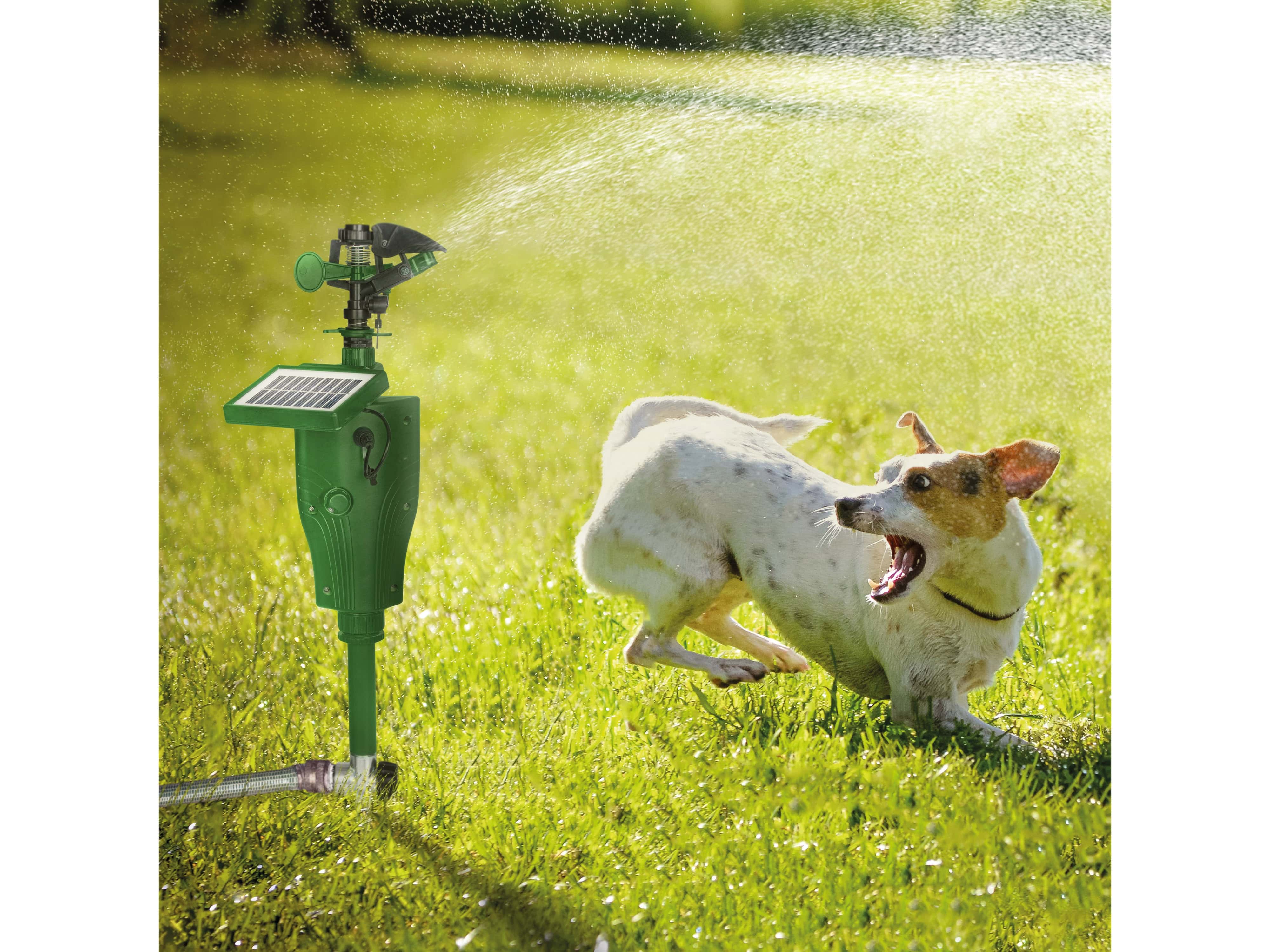 GARDIGO Solar Wasser-Tierabwehr 60085