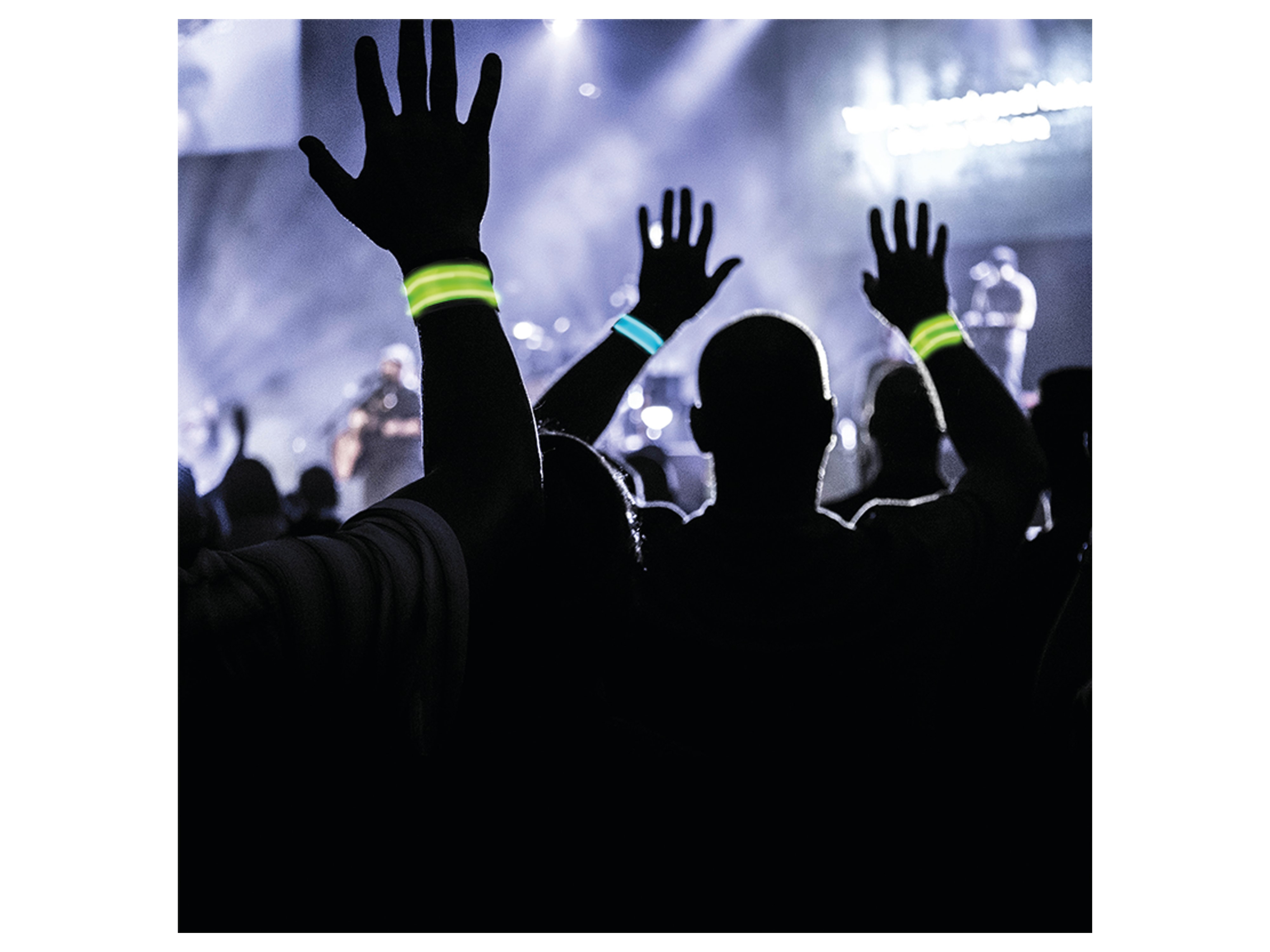 LOGILINK LED-Schnapparmband LED015, 2 Stück, blau/grün, Nylon