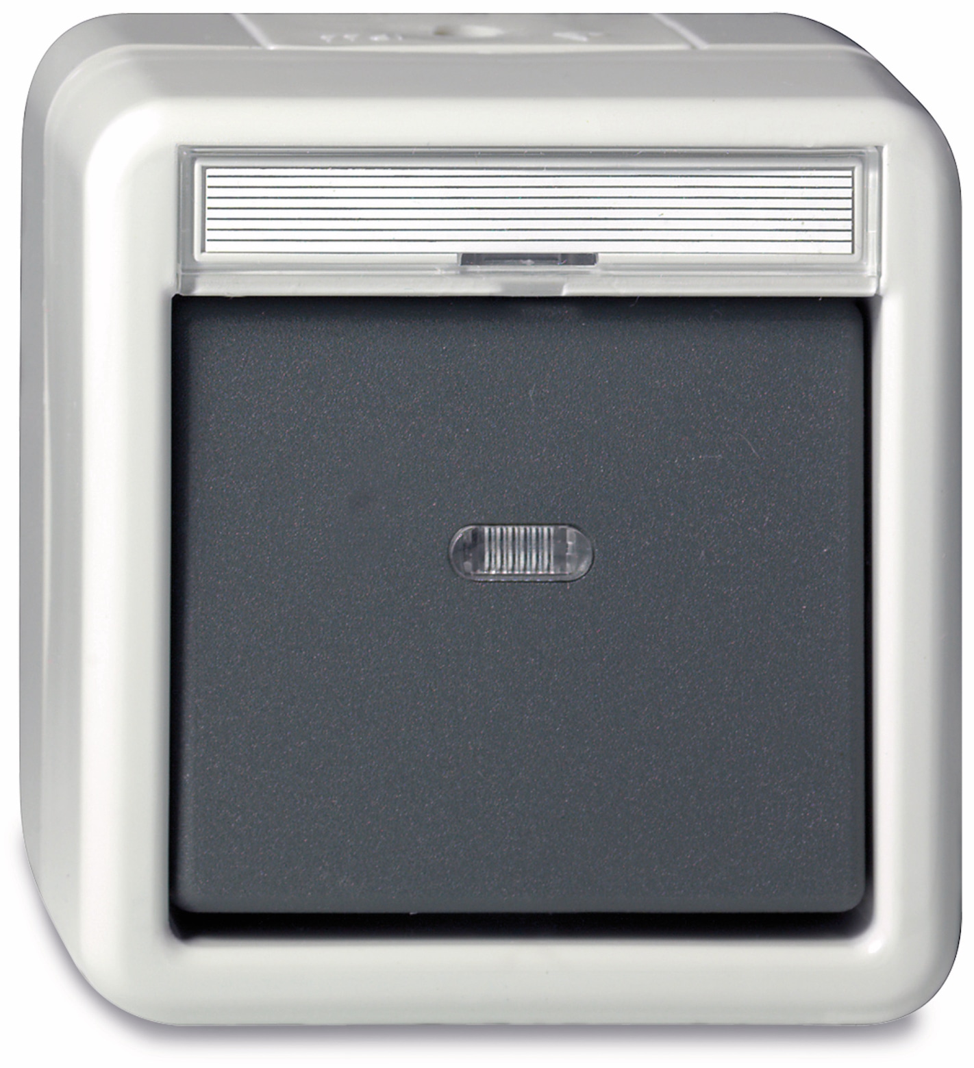 GIRA Feuchtraum-Wechseltaster 015630