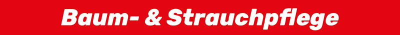 Baum- & Strauchpflege Baum- & Strauchpflege