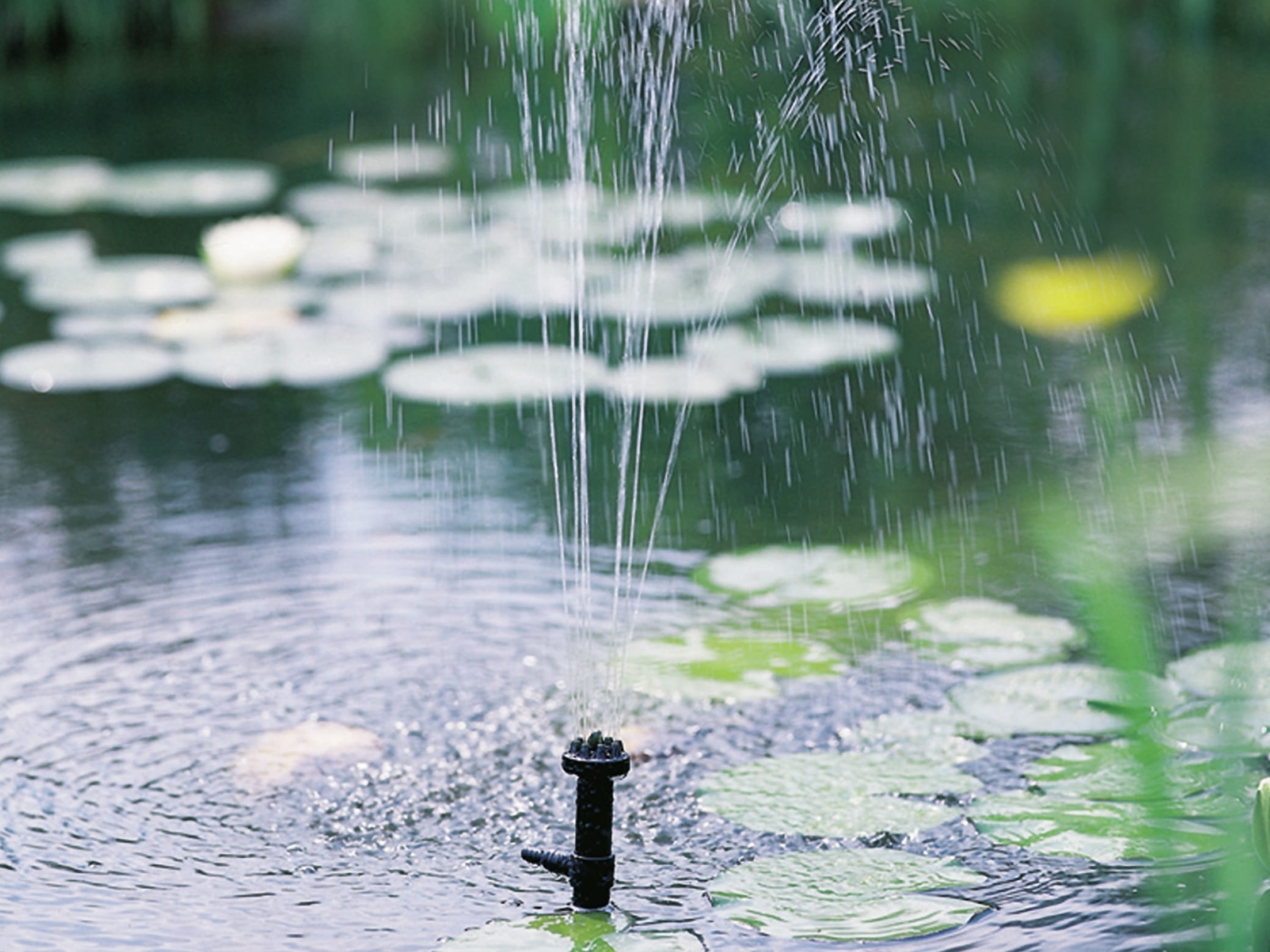 Einhell Teichpumpe BG-SBP 50, 50 W