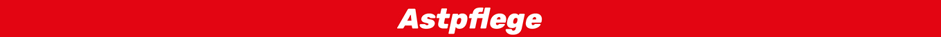 Astpflege