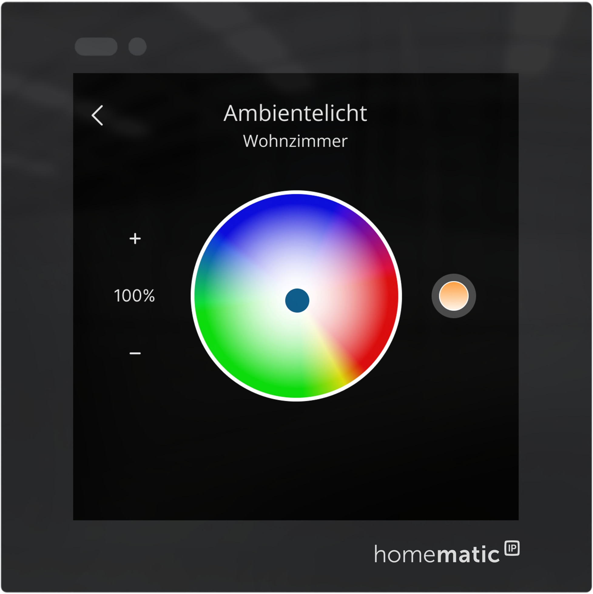 HOMEMATIC IP 161918A0, Glasdisplay