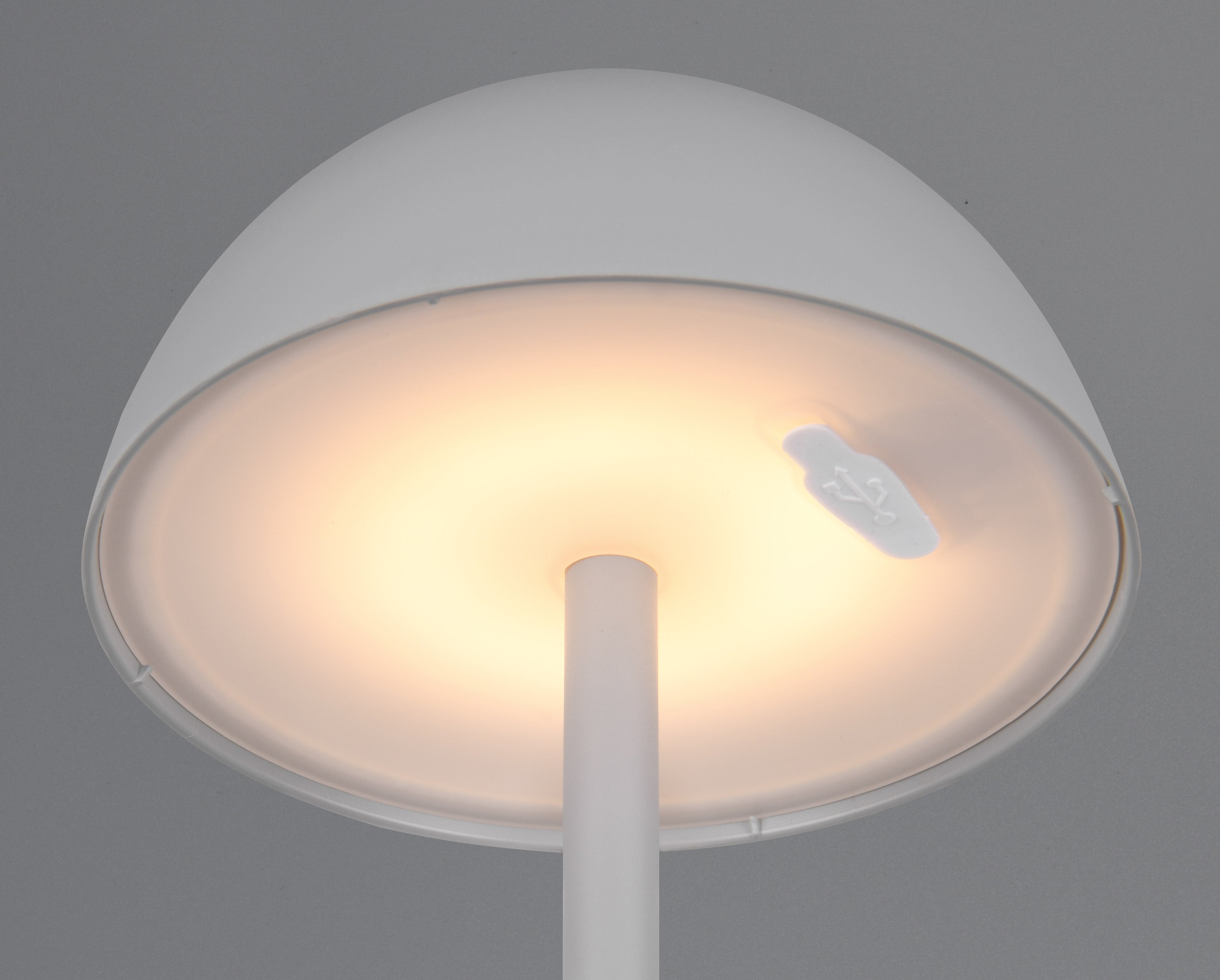 REALITY LED-Akku-Tischleuchte Ricardo R54106177 grau, IP54, 1,7 W, 240 lm, 3000 K REALITY LED-Akku-Tischleuchte Ricardo R54106177 grau, IP54, 1,7 W, 240 lm, 3000 K