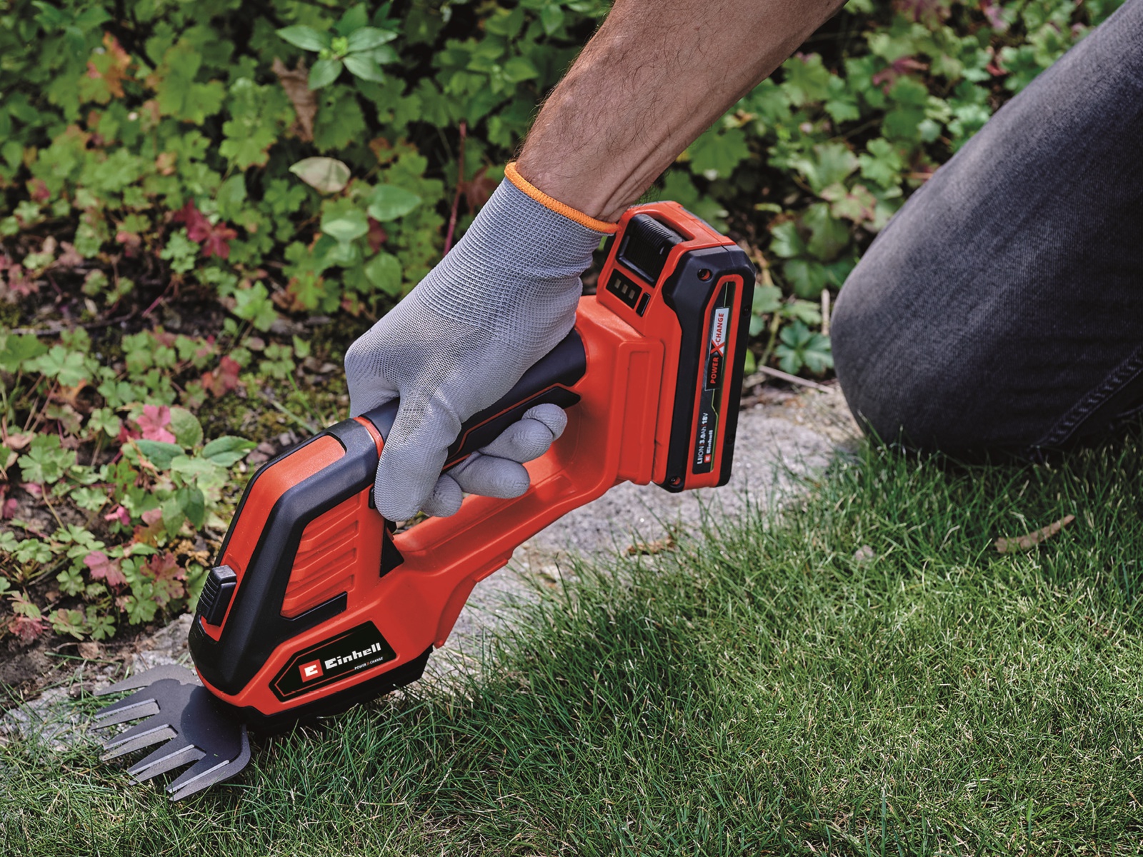 EINHELL Akku-Gras- und Strauchschere GE-CG 18/100 Li + Starterset