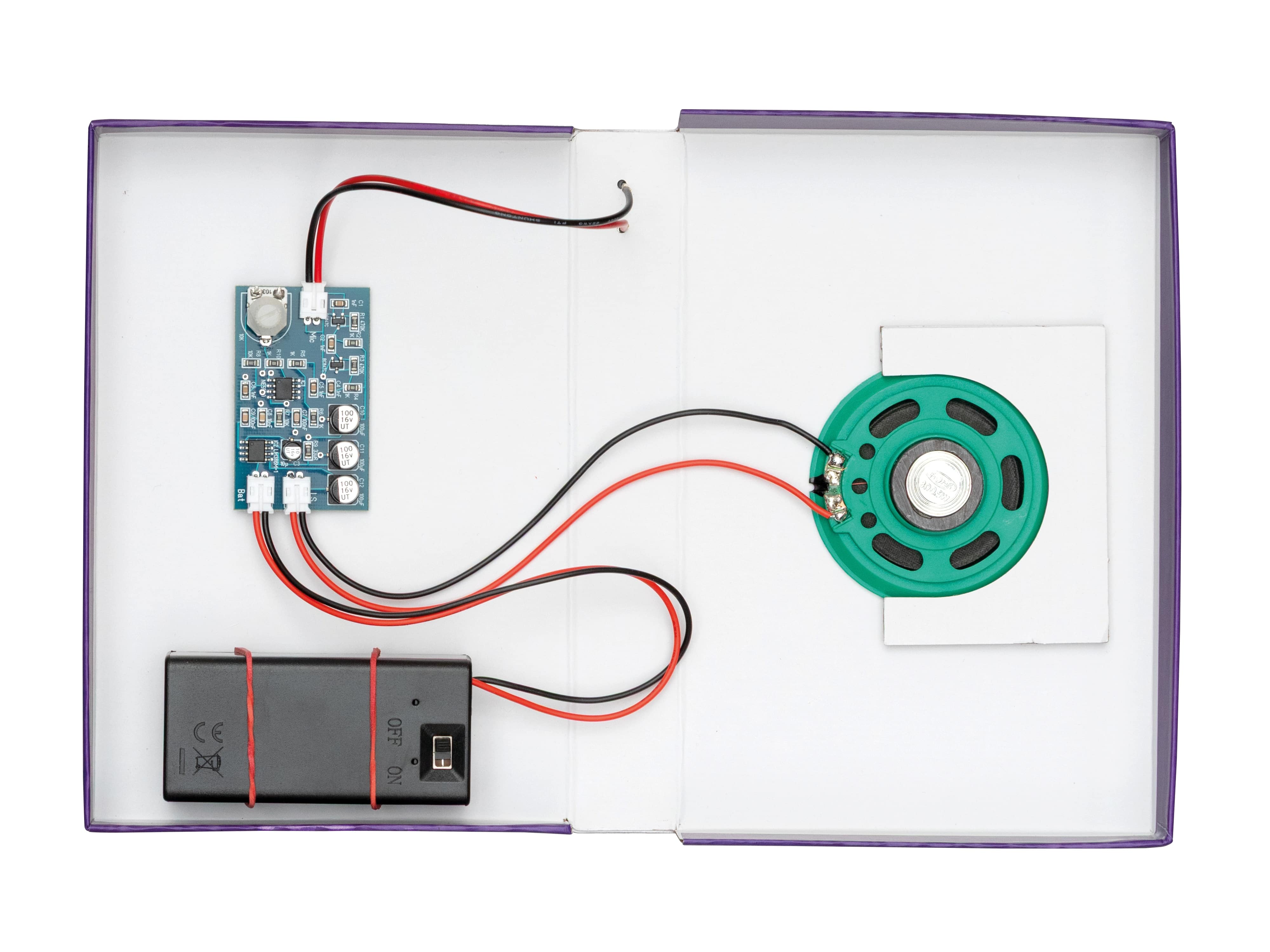 FRANZIS CheXperiment Fledermaus-Check (Checker Tobi) 67248