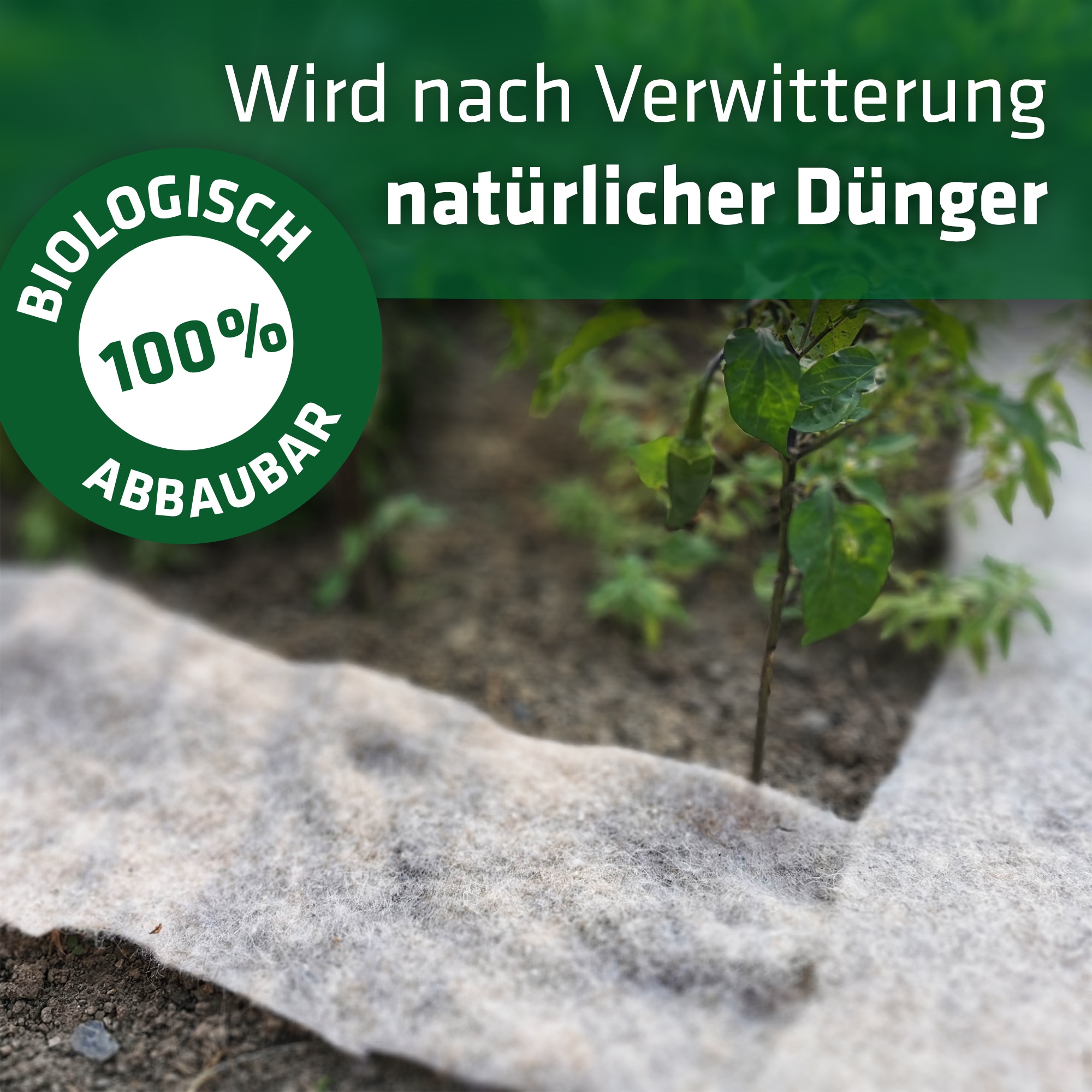 GARDIGO Schnecken-Stopp Vlies, 500x10 cm GARDIGO Schnecken-Stopp Vlies, 500x10 cm