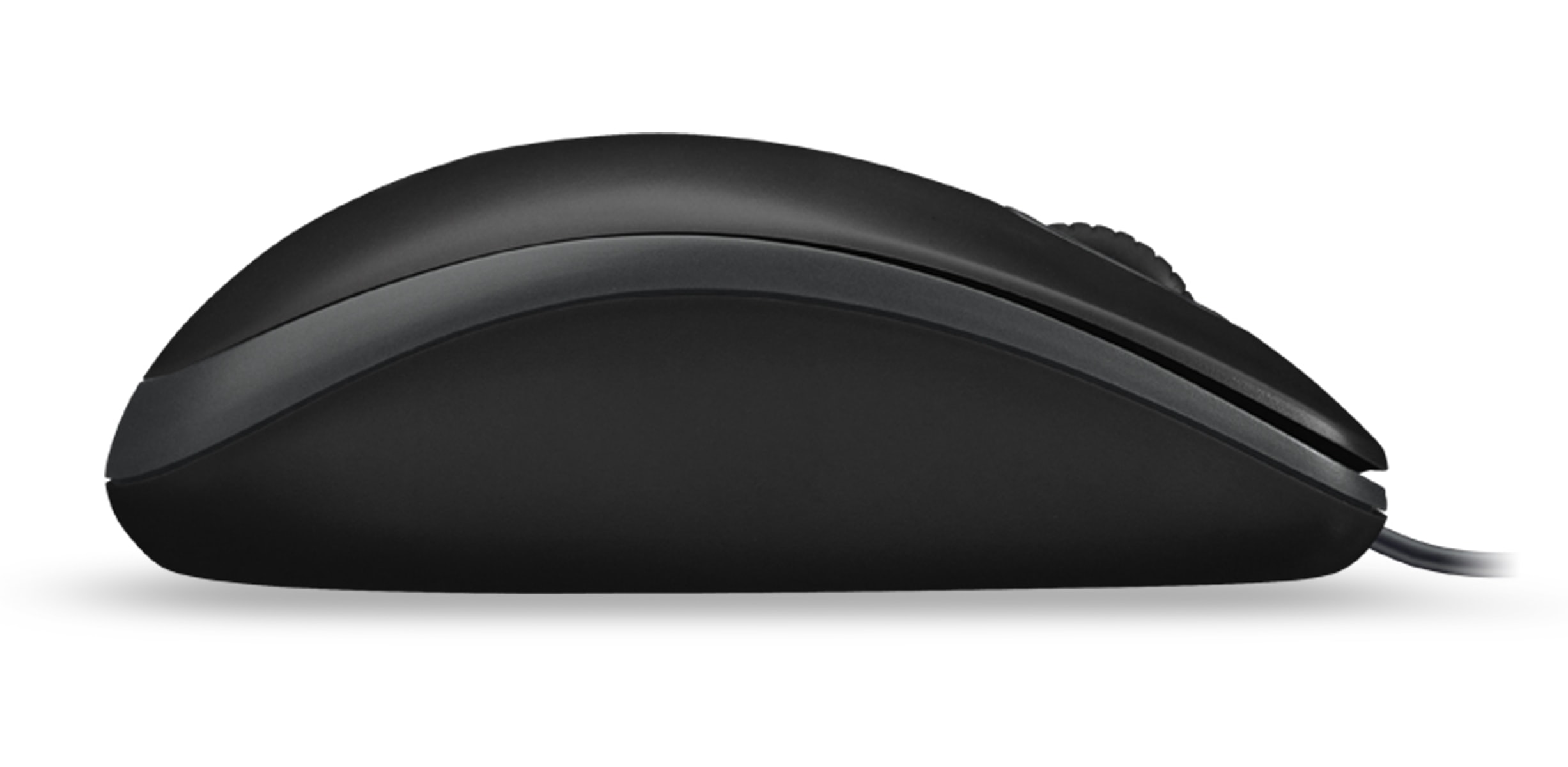 LOGITECH USB-Maus B100, optisch, 800 dpi, schwarz