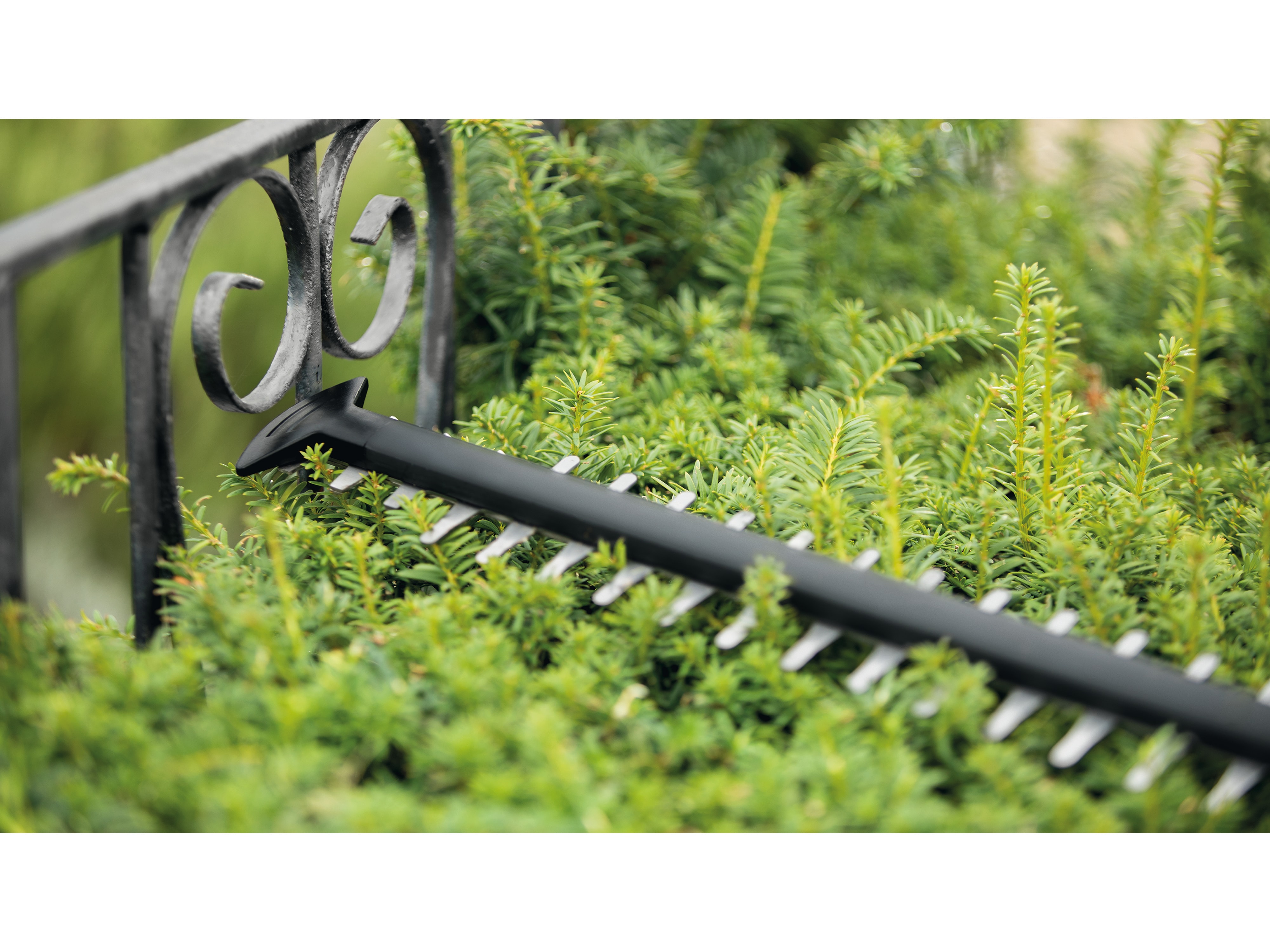 BOSCH Akku-Heckenschere UniversalHedgeCut 18V-55, Akku + Ladegerät