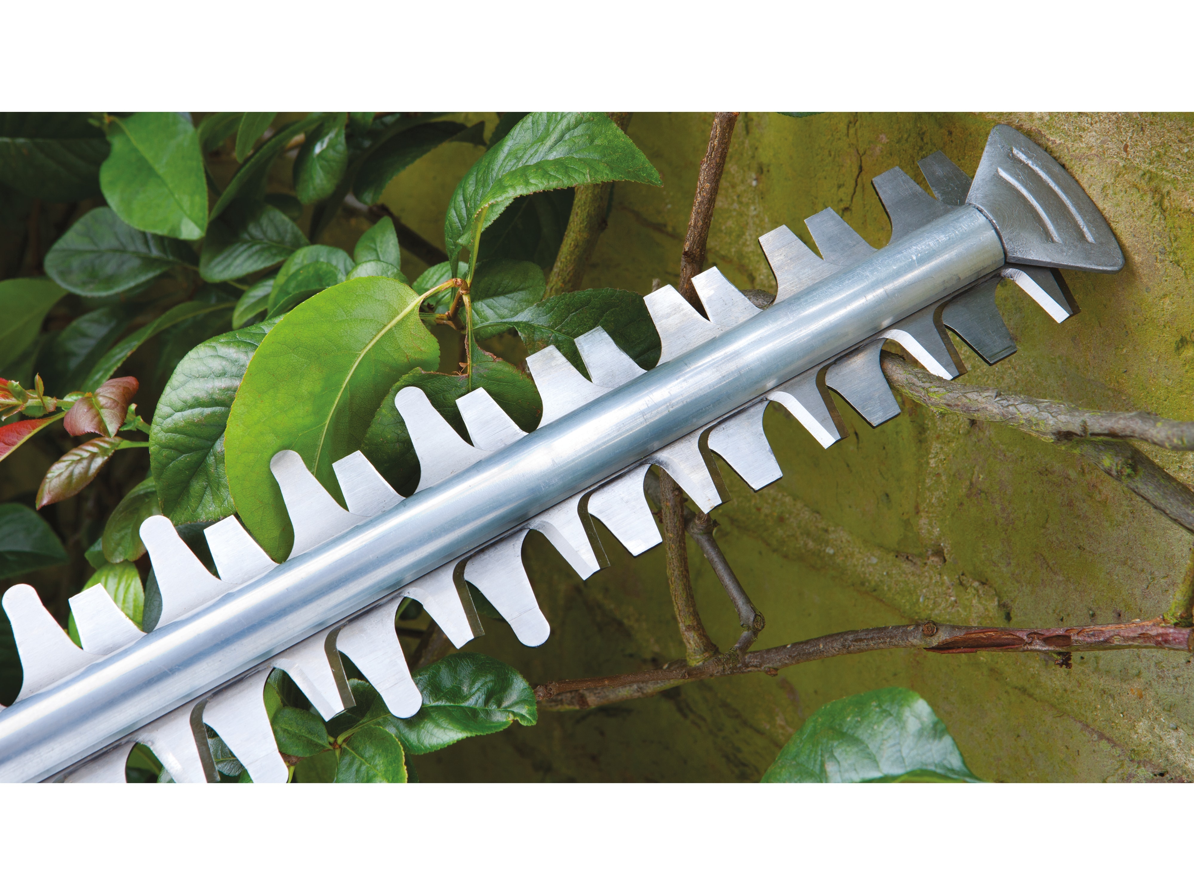 BOSCH Elektro-Heckenschere AdvancedHedgeCut 65, 500 W