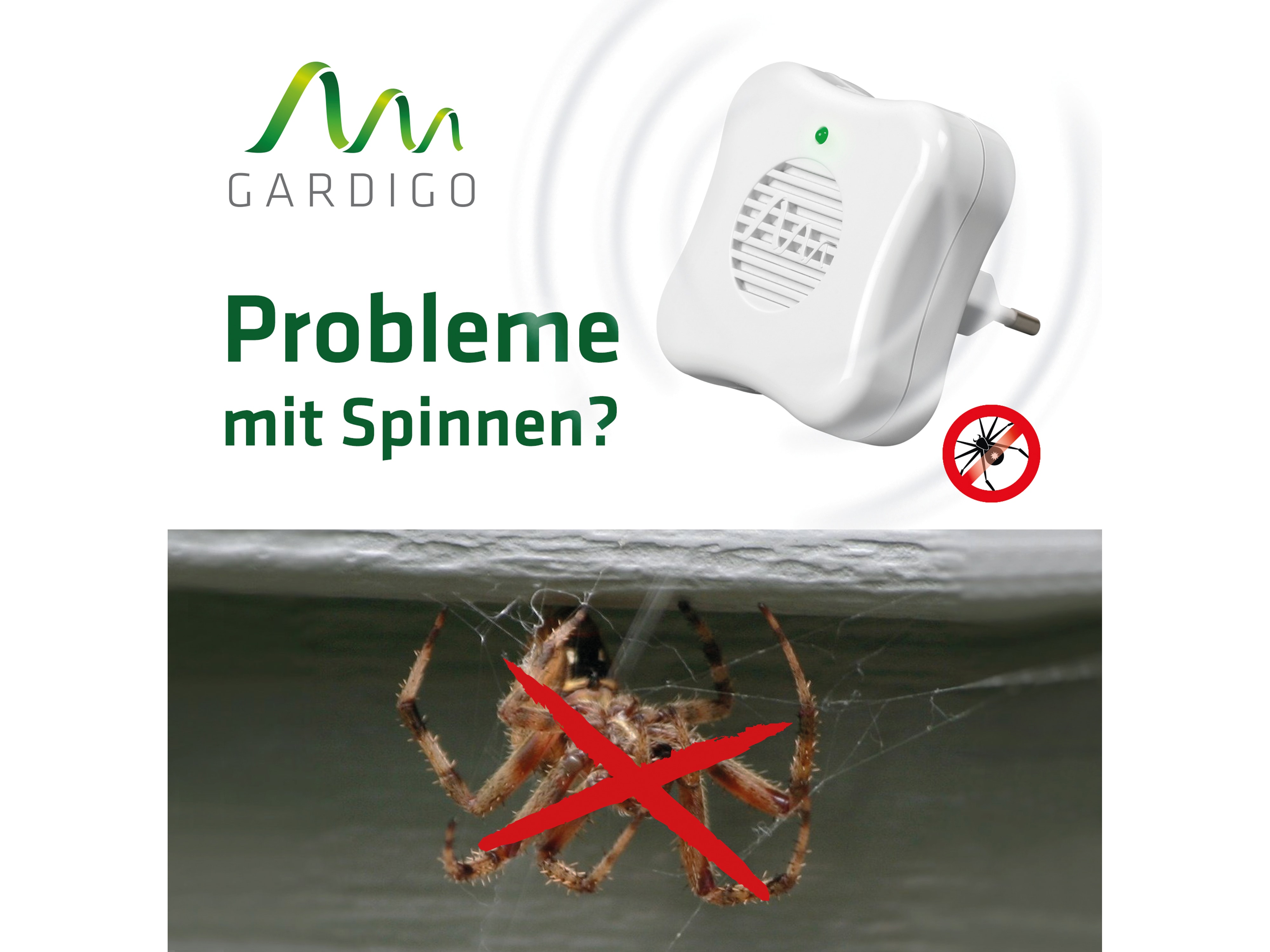 GARDIGO Spinnen-Feind GARDIGO Spinnen-Feind