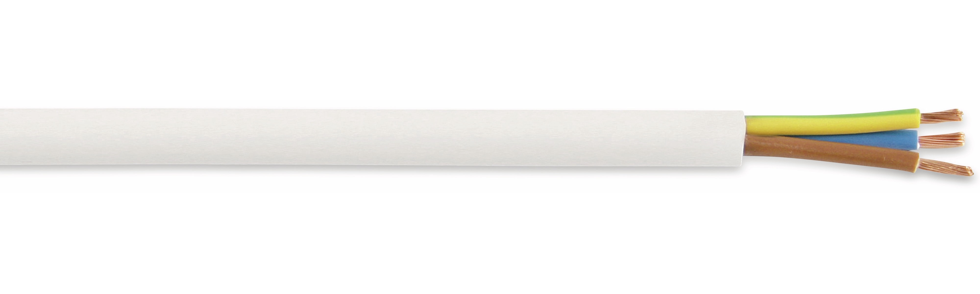 RAUTRONIC PVC-Schlauchleitung H03VV-F, 3G0,75, 10 m, weiß