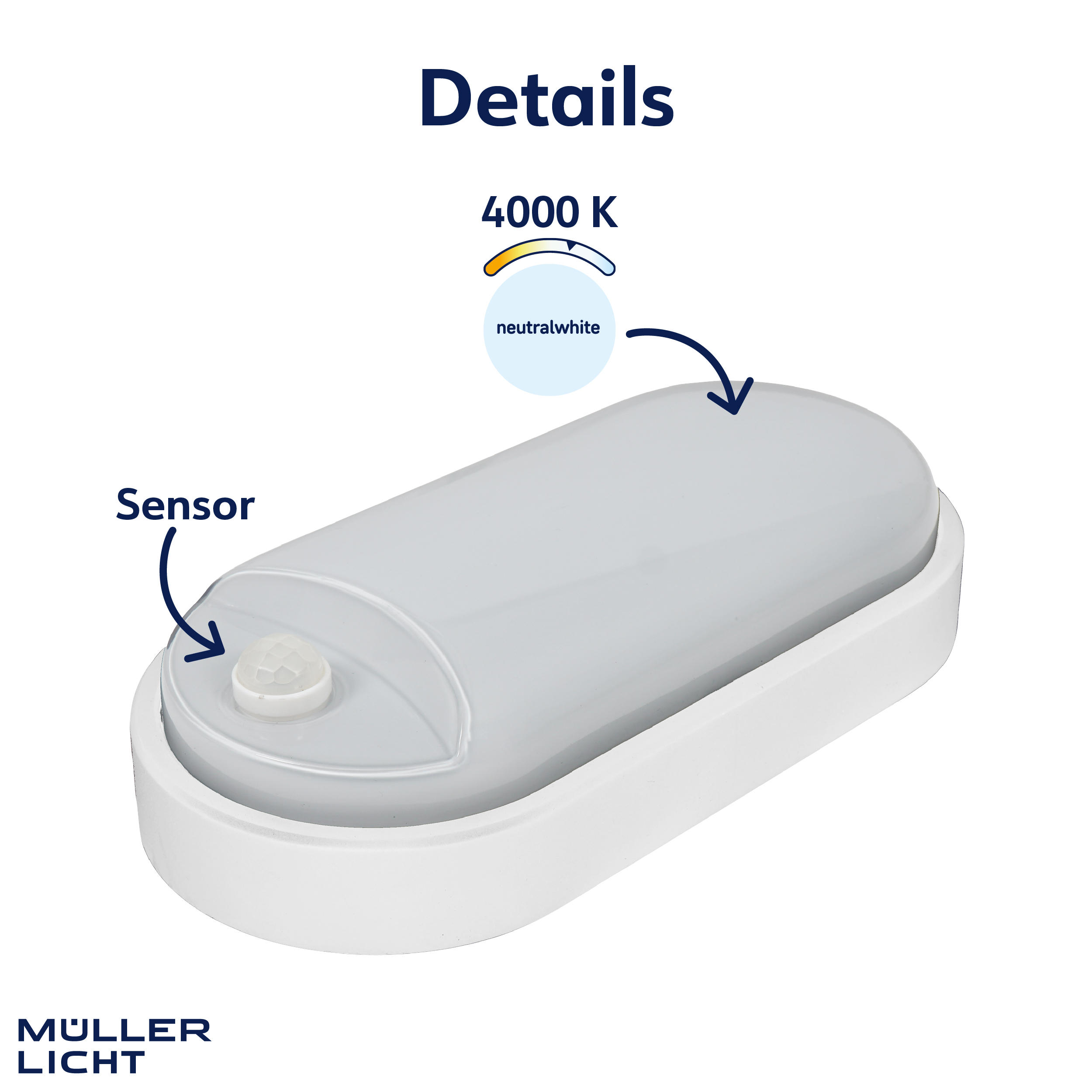 MÜLLER-LICHT LED-Wand- und Deckenleuchte 20300538, 9W, 650 lm, 4000K, IP54, Bewegungsmelder, oval