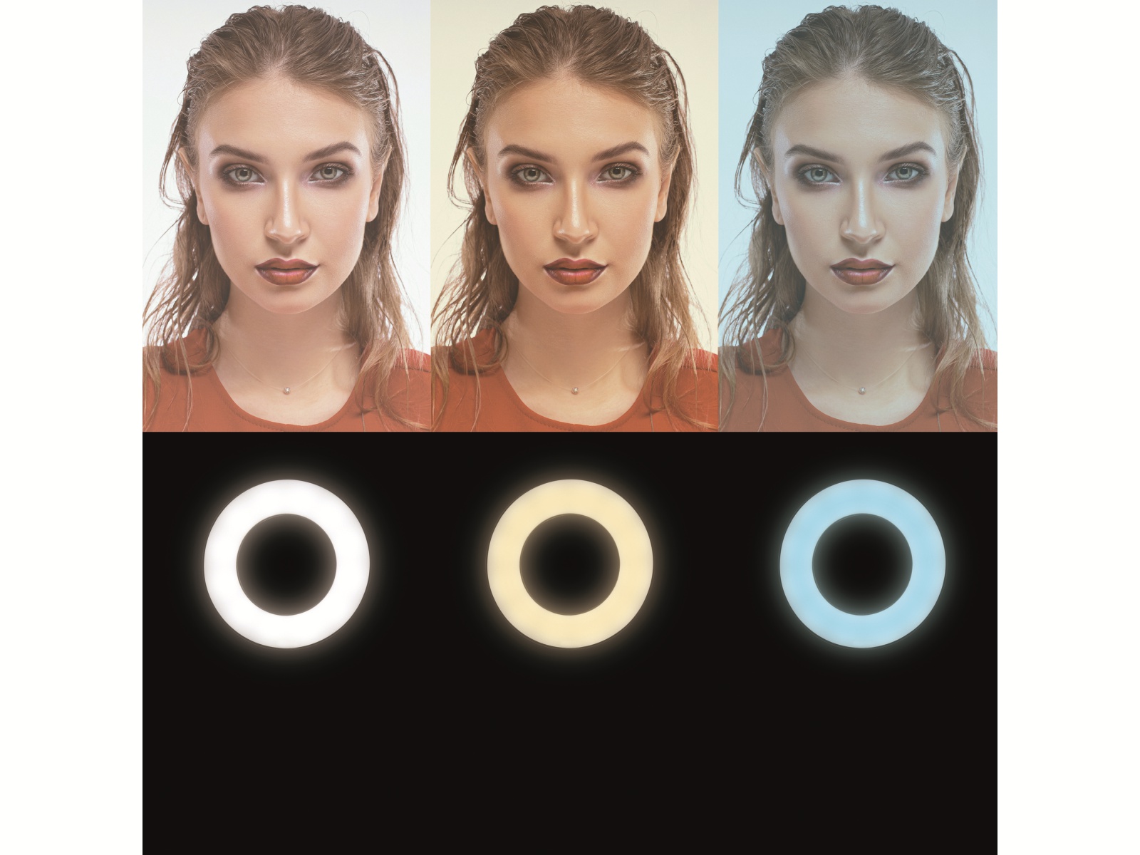 LOGILINK Smartphone-LED-Ringlicht AA0152, Ø25cm, Stativ, Fernauslöser, Lichtregler LOGILINK Smartphone-LED-Ringlicht AA0152, Ø25cm, Stativ, Fernauslöser, Lichtregler