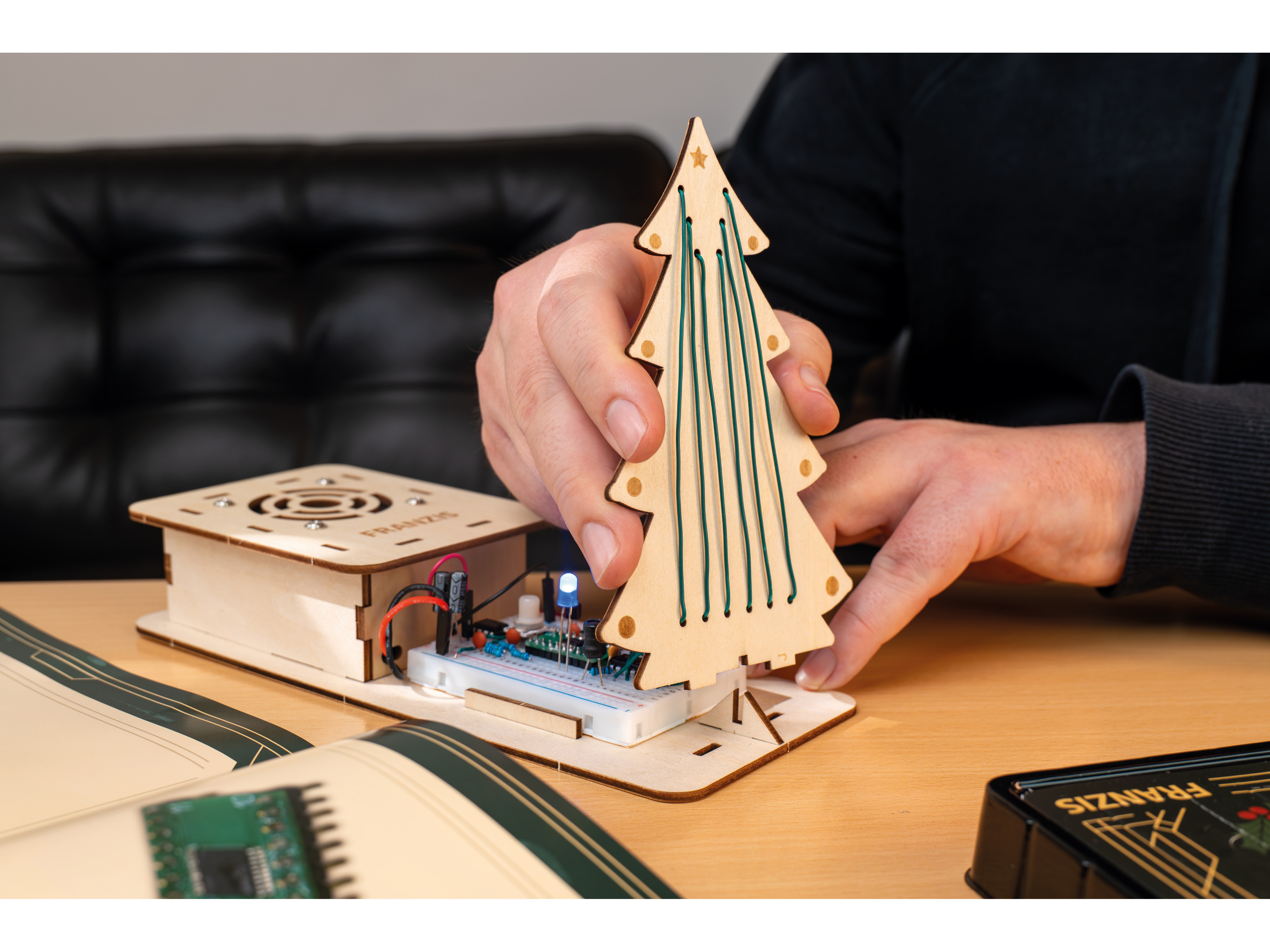 FRANZIS Magische Klänge: Das Theremin zum Selberbauen