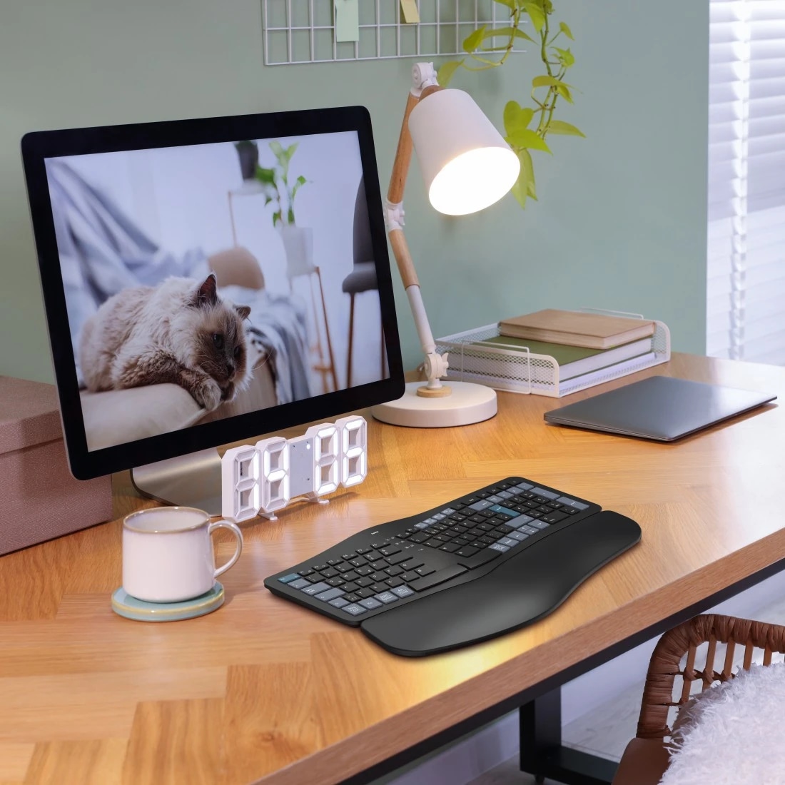 HAMA Tastatur 173071 WK-900 Ergo