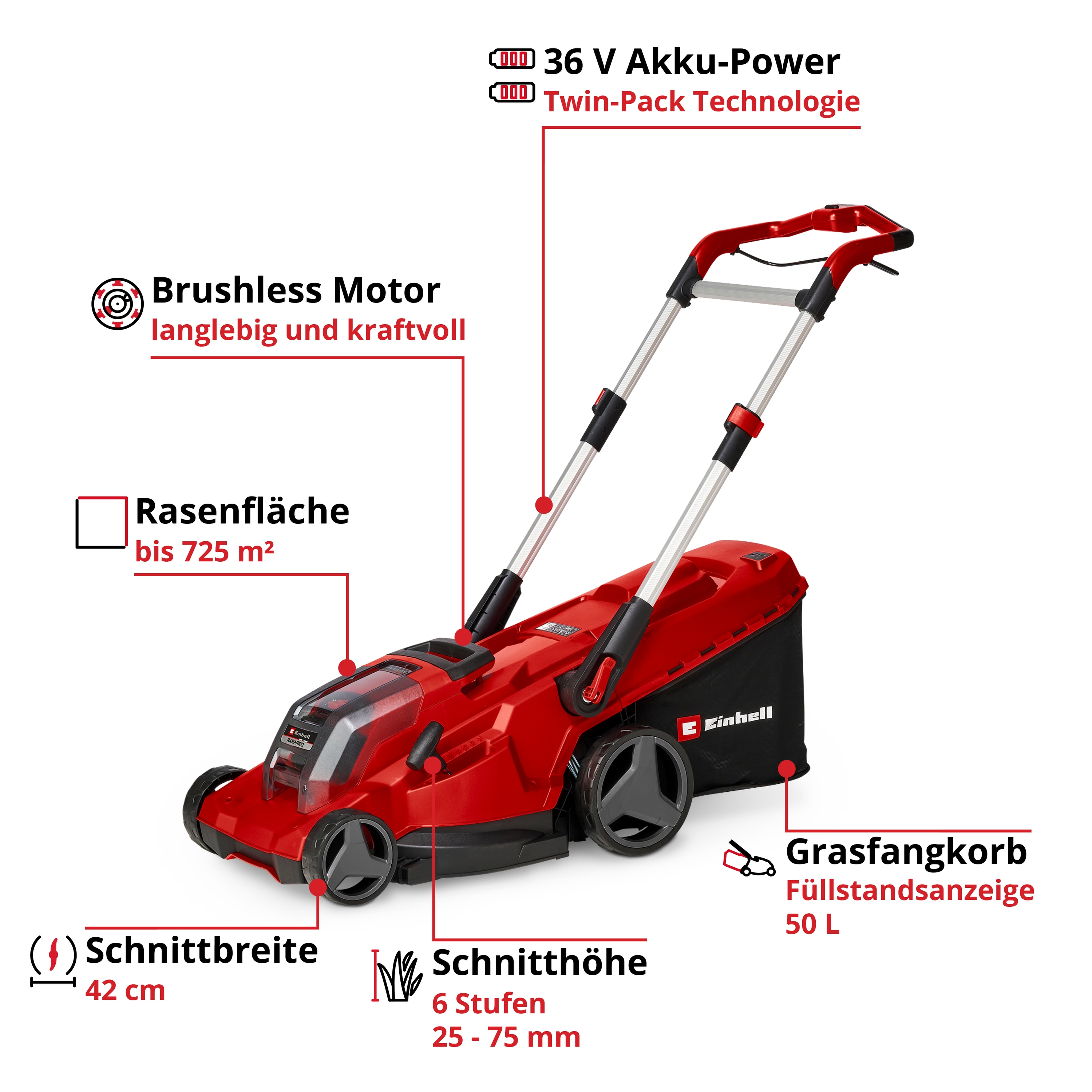 EINHELL PROFESSIONAL Akku-Rasenmäher RASARRO 36/42, 2x5,2 Ah Akkus + Twin-Ladegerät EINHELL Akku-Rasenmäher RASARRO 36/42, 2x5,2 Ah Akkus + Twin-Ladegerät