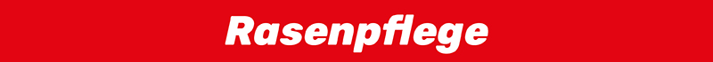 Rasenpflege