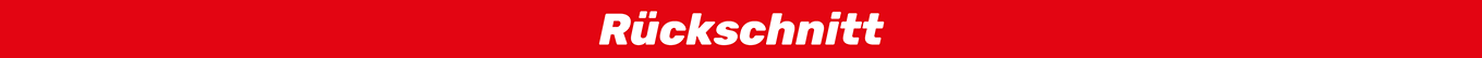 Rückschnitt