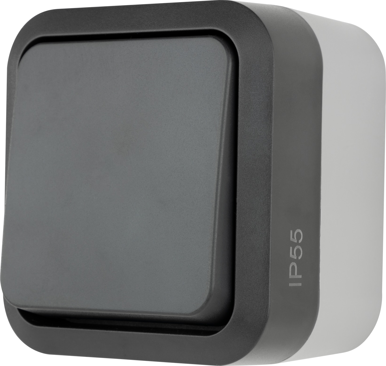 REV Feuchtraum-Taster AquaStorm, AP, grau